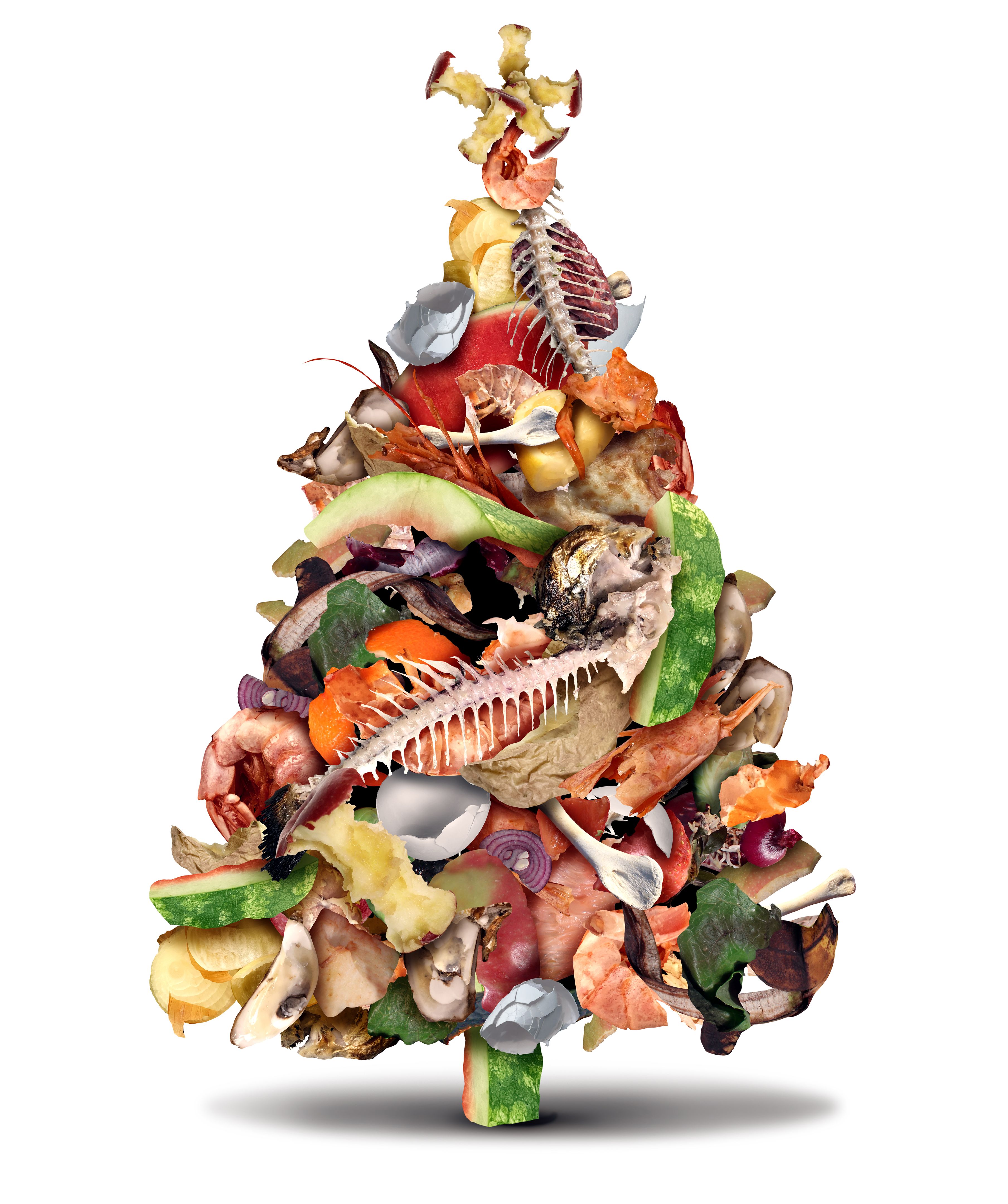 recycling christmas waste