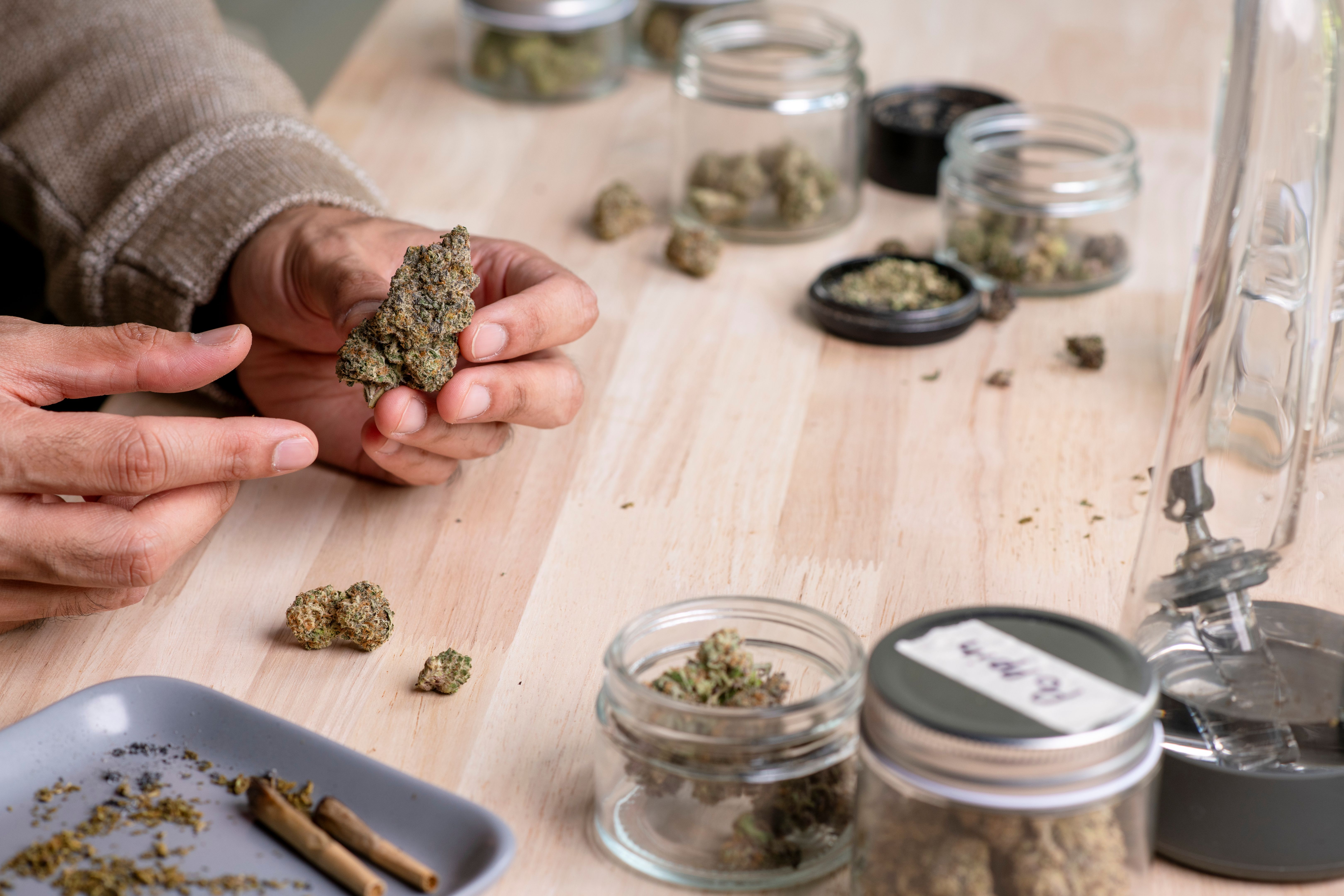 choosing cannabis strain