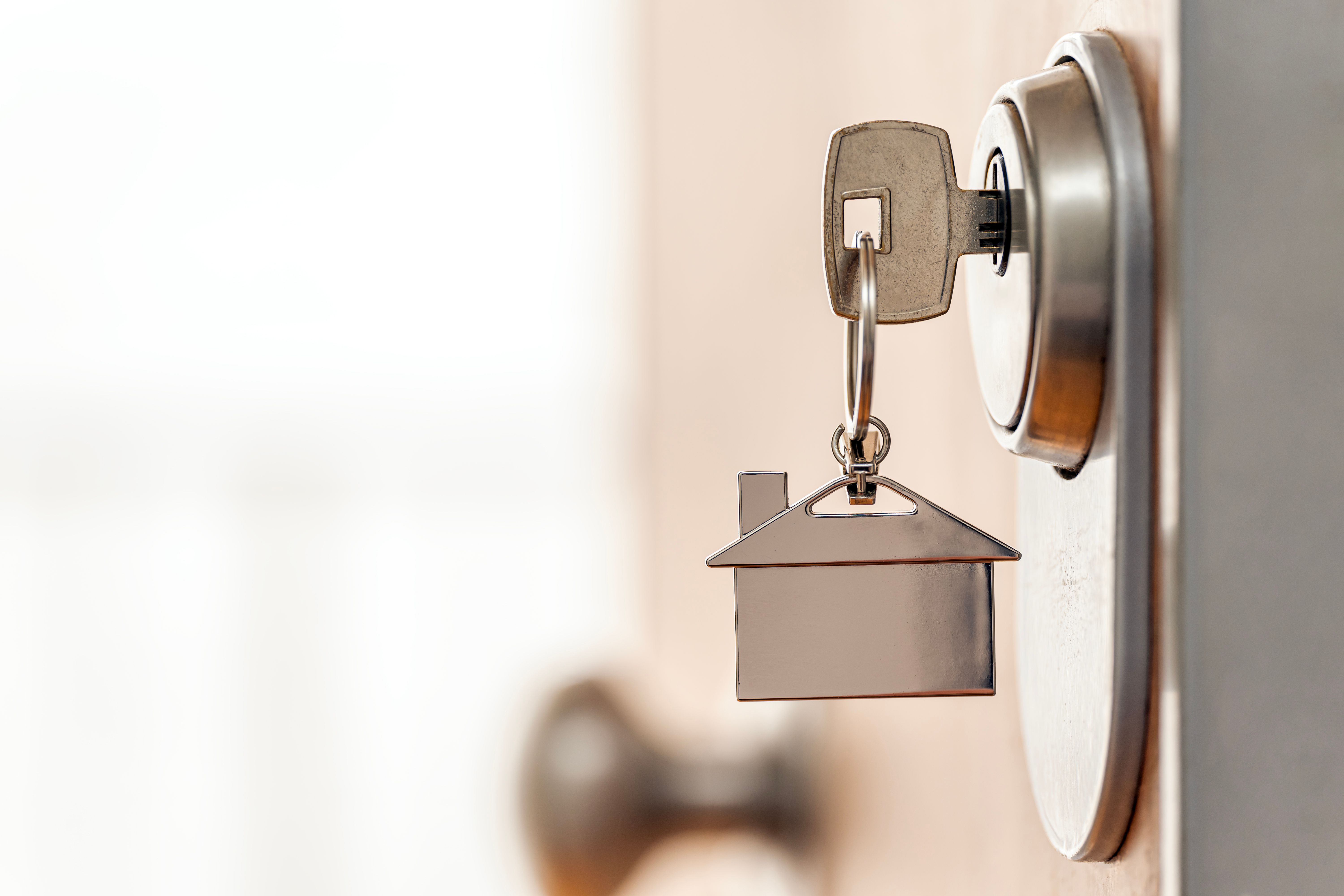 spanish legal documents