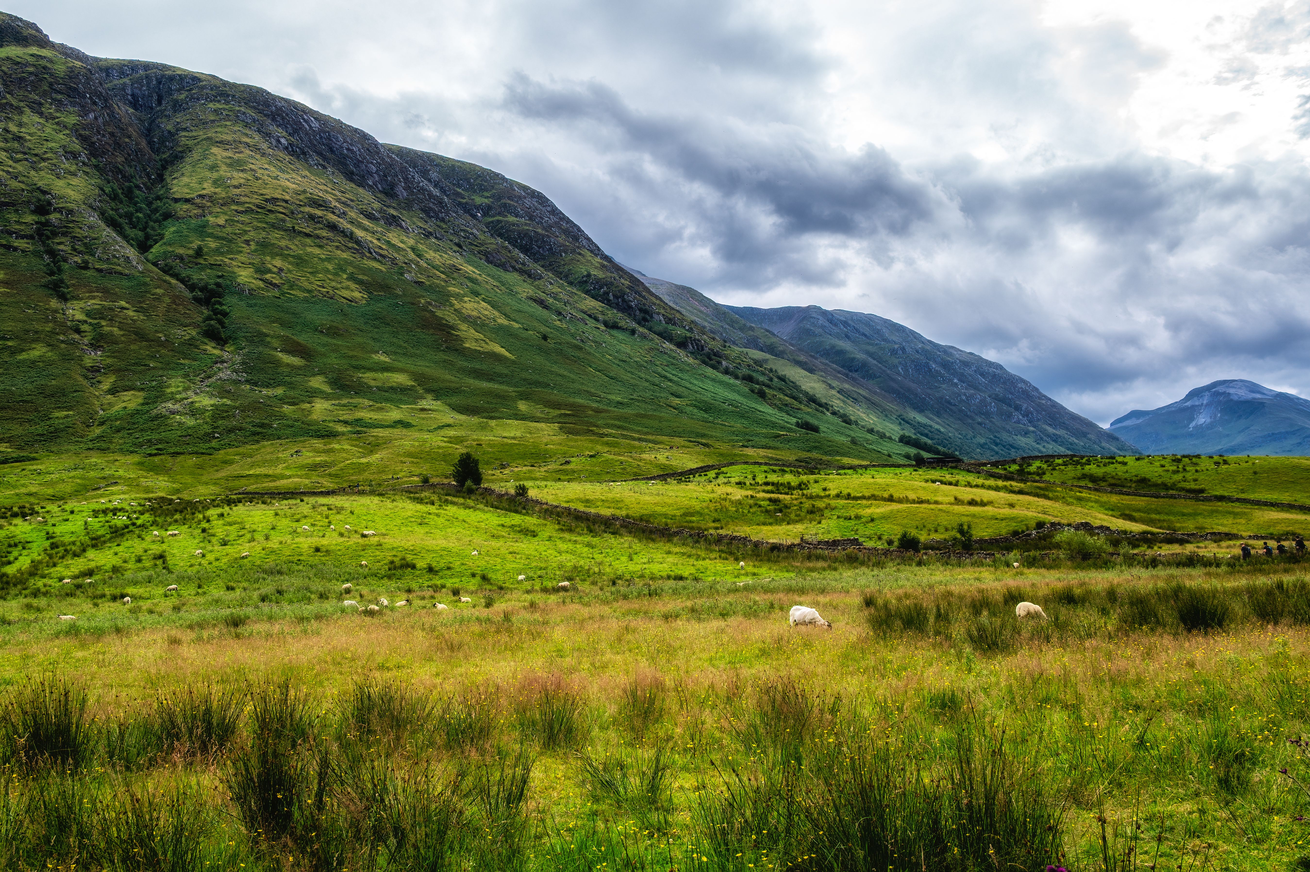 scottish highlands summer