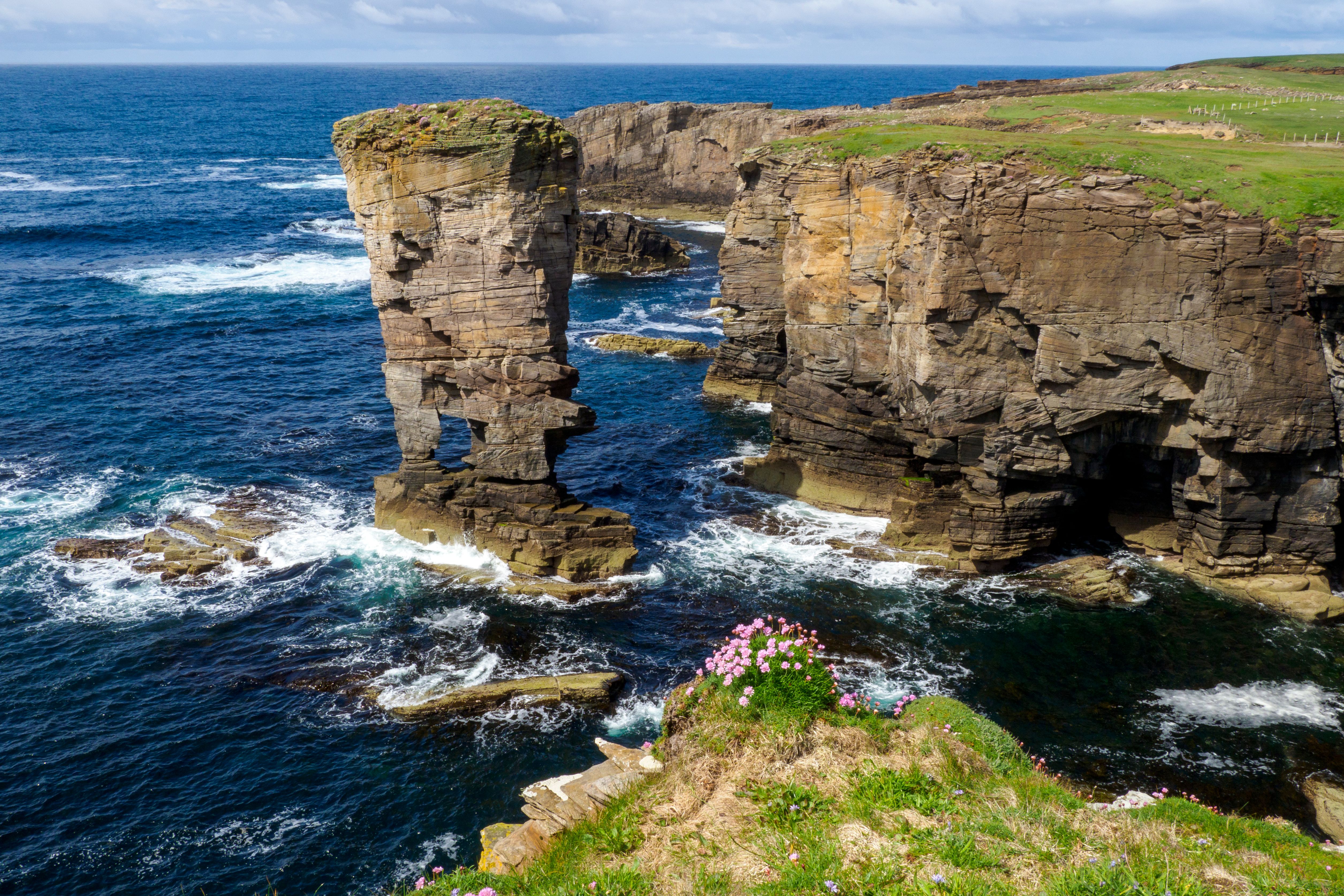 orkney cliffs