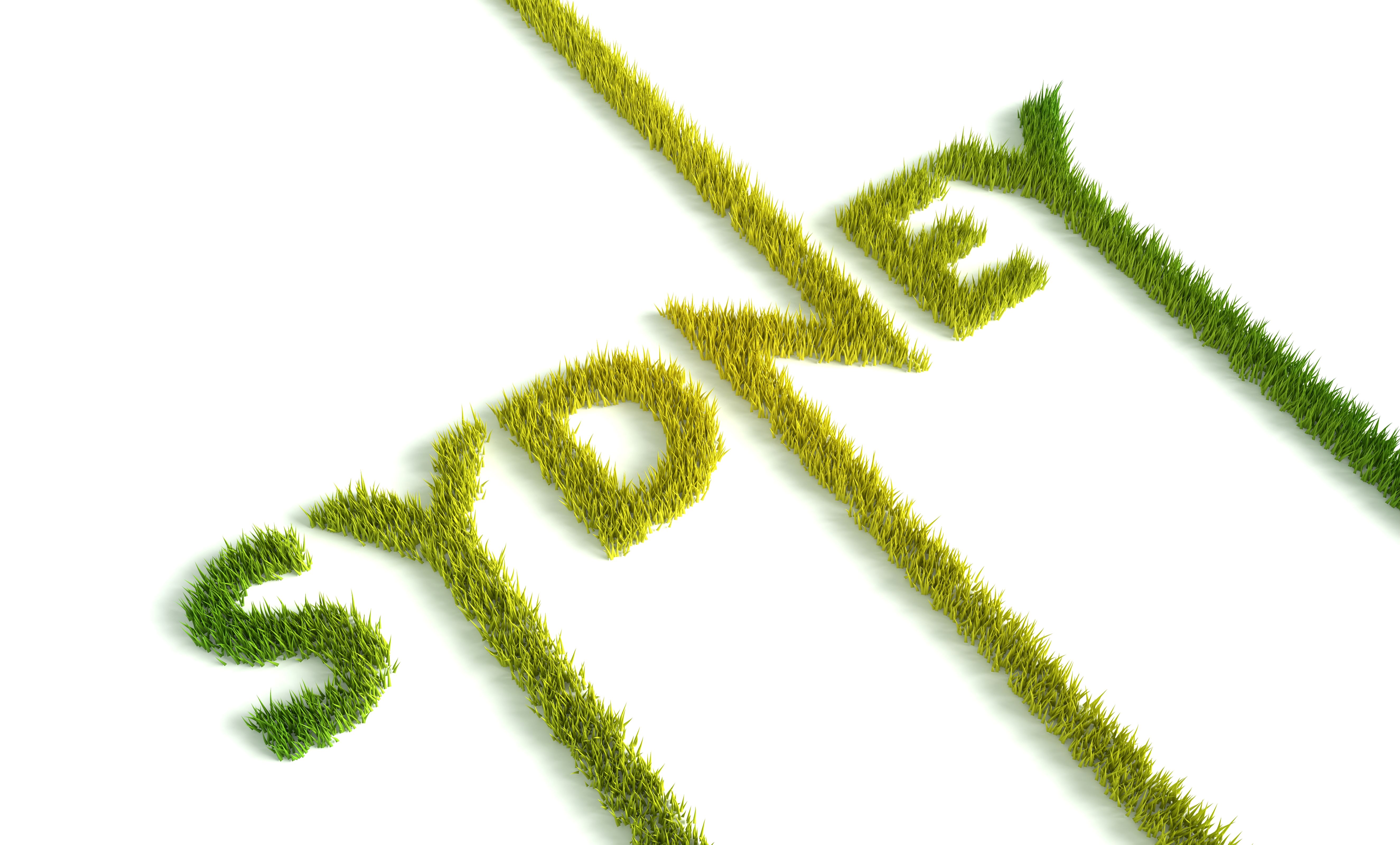 Sydney city of Australia name in geometry style design. Green fresh spring grass growth on letters. Ecology concept. 3D render
