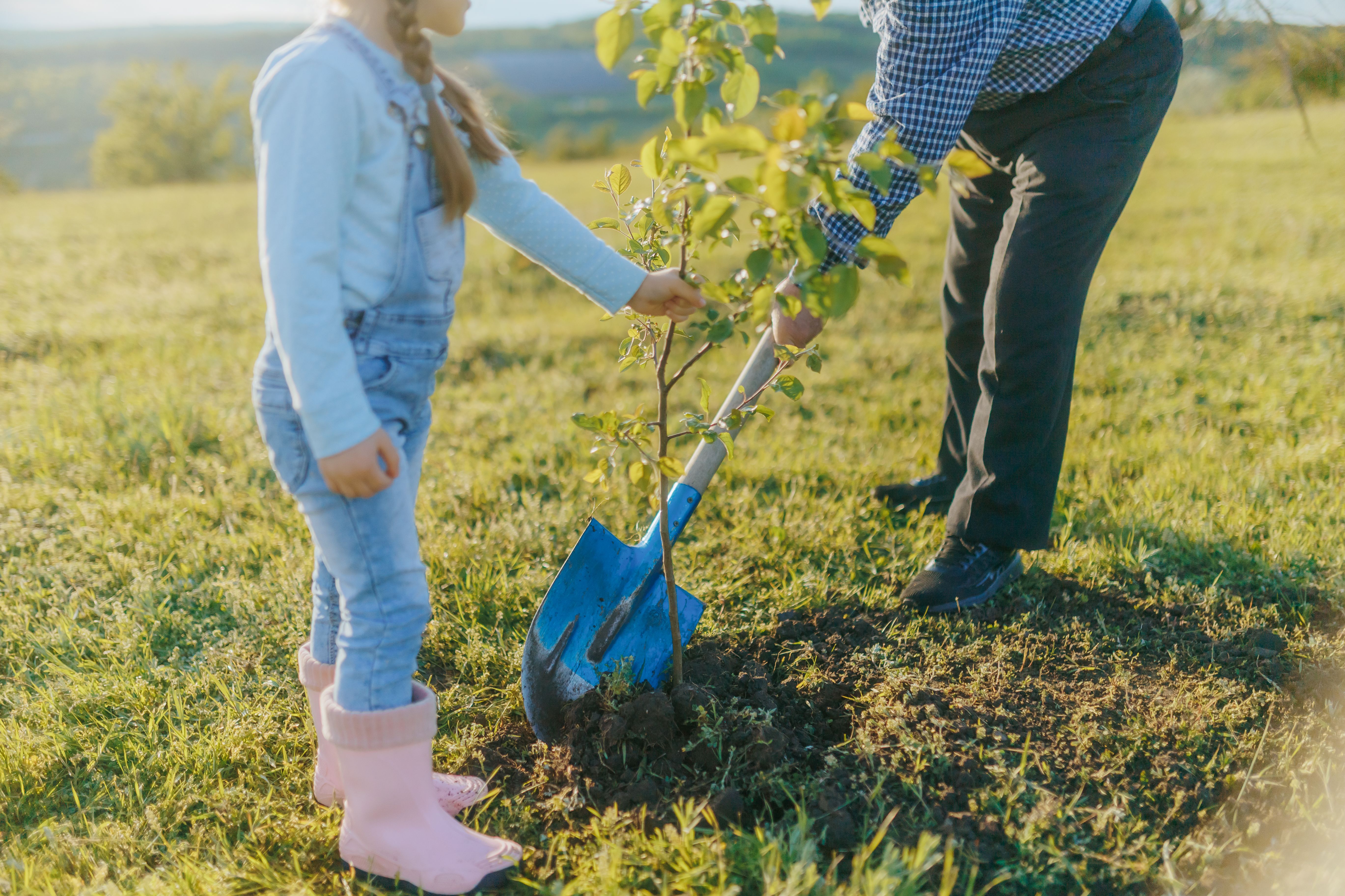 agriculture coaching