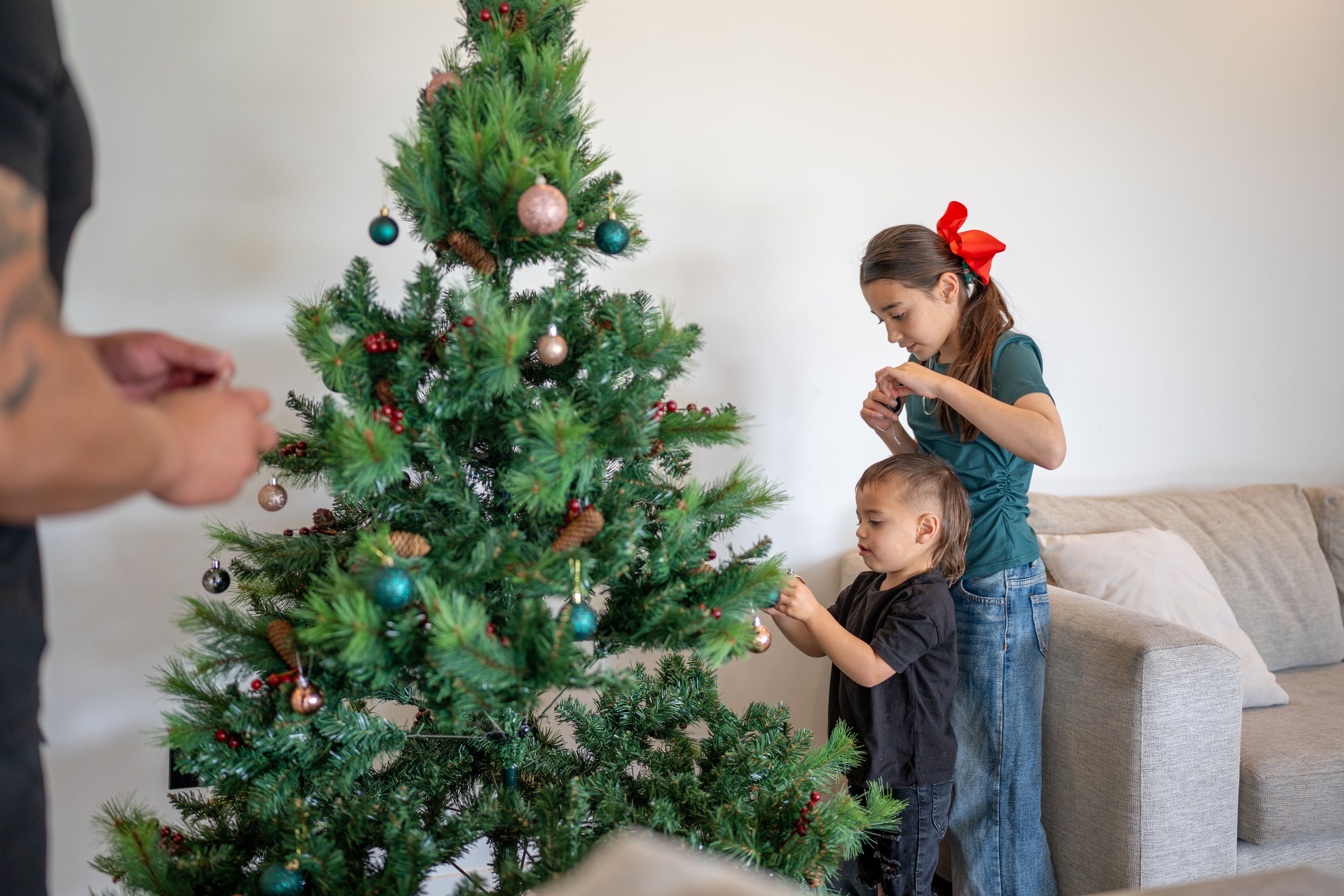 tree trimming