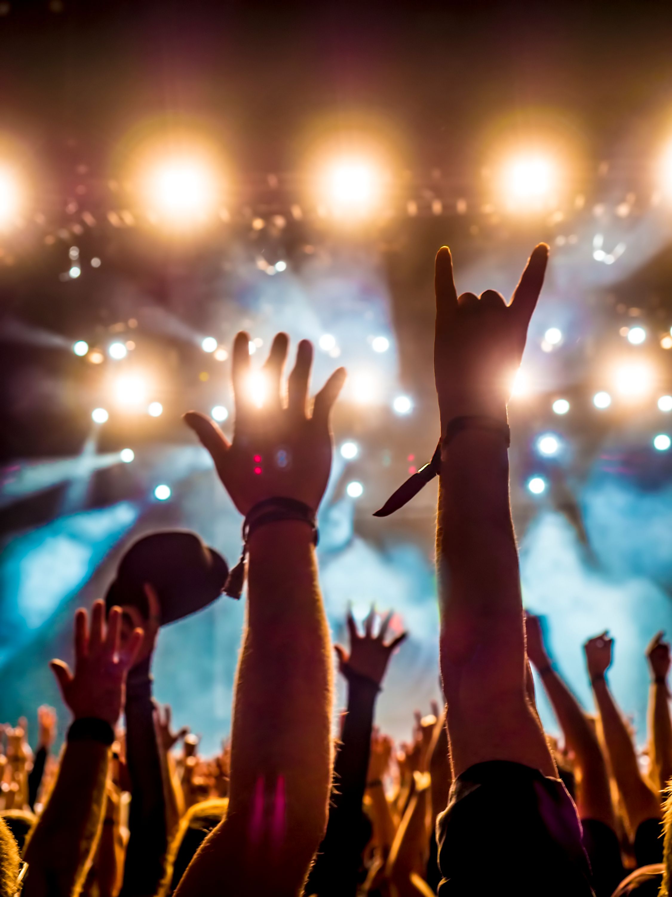 Crowd Enjoying At Concert