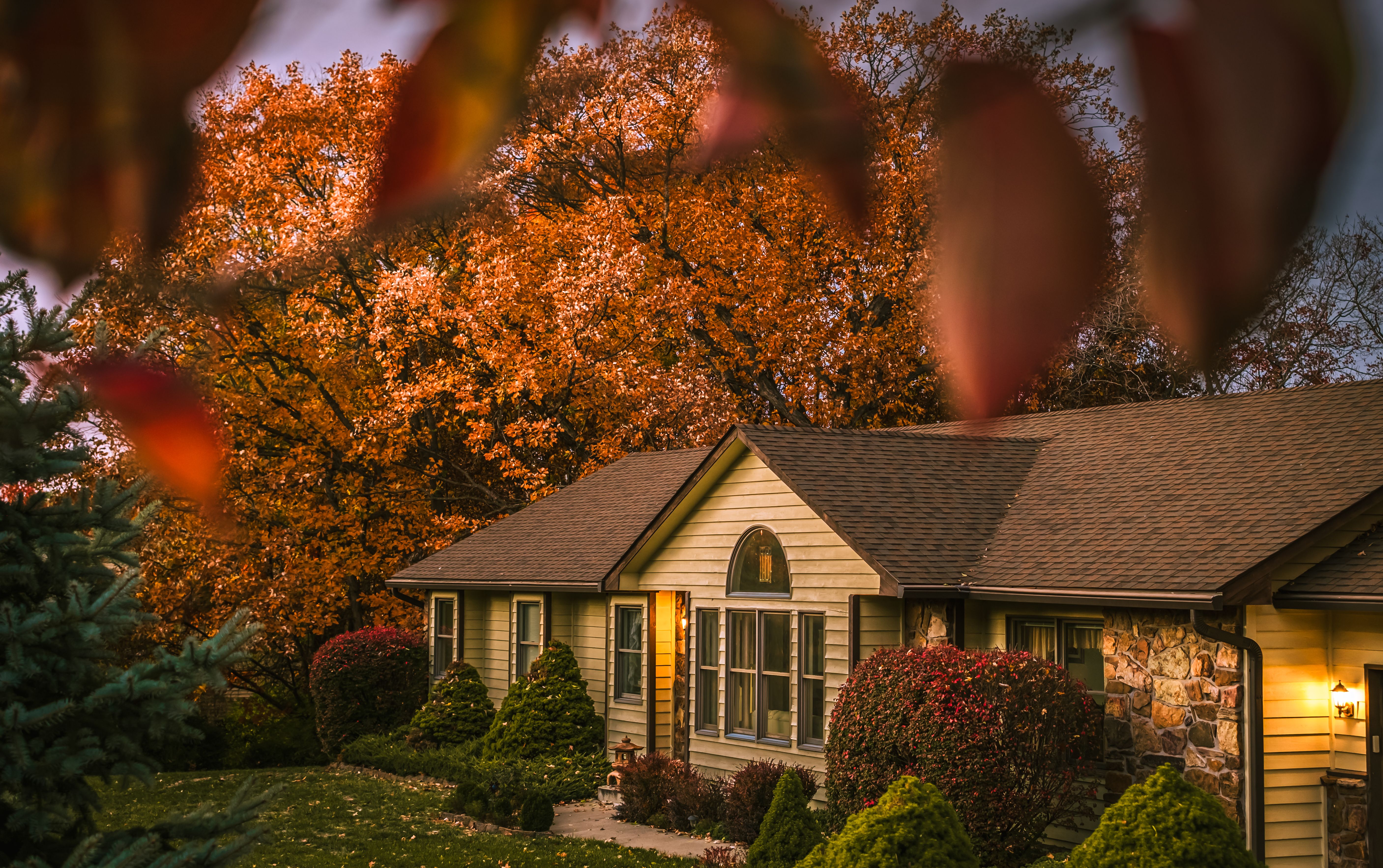autumn leaves house