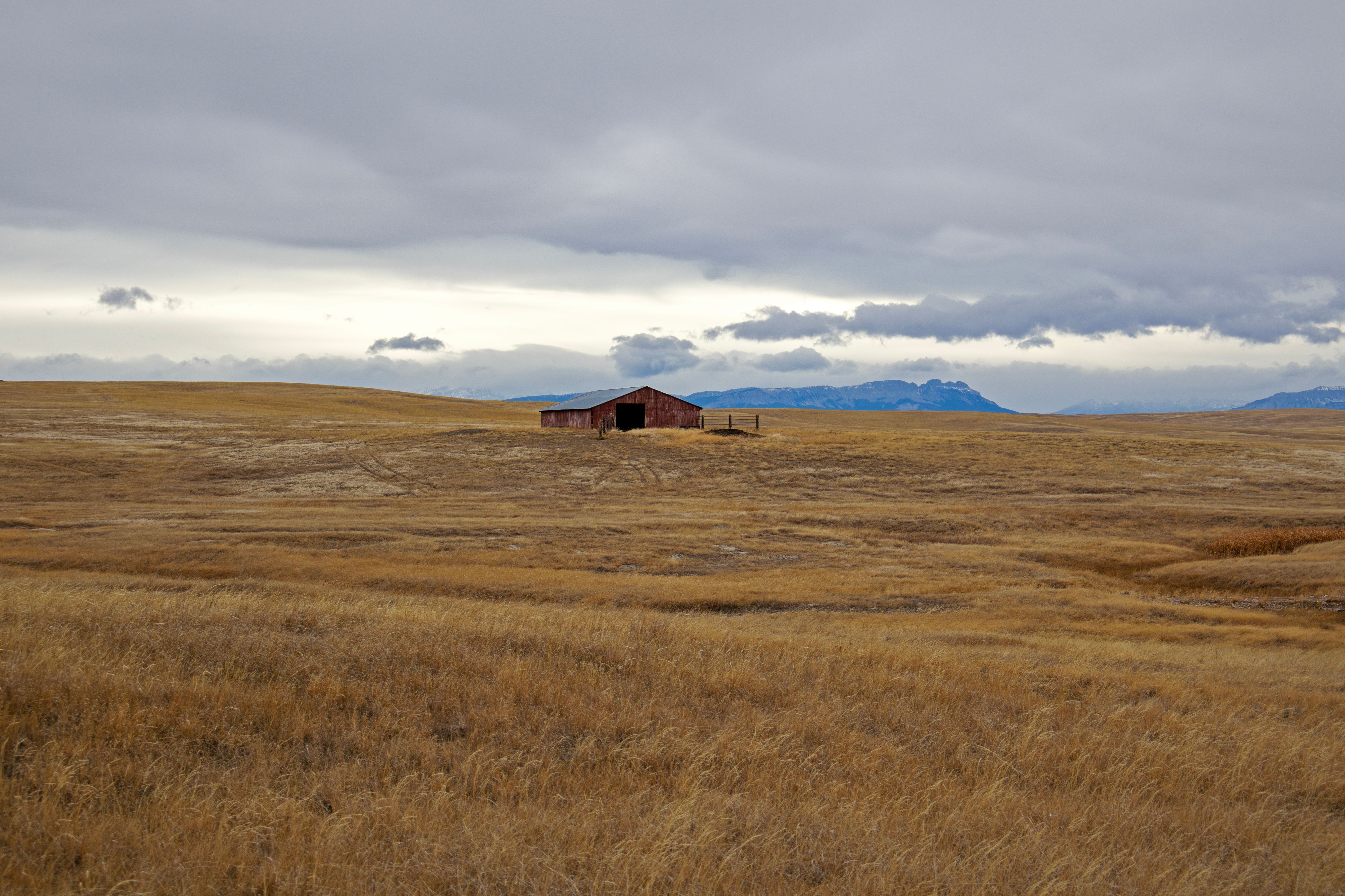 montana weather