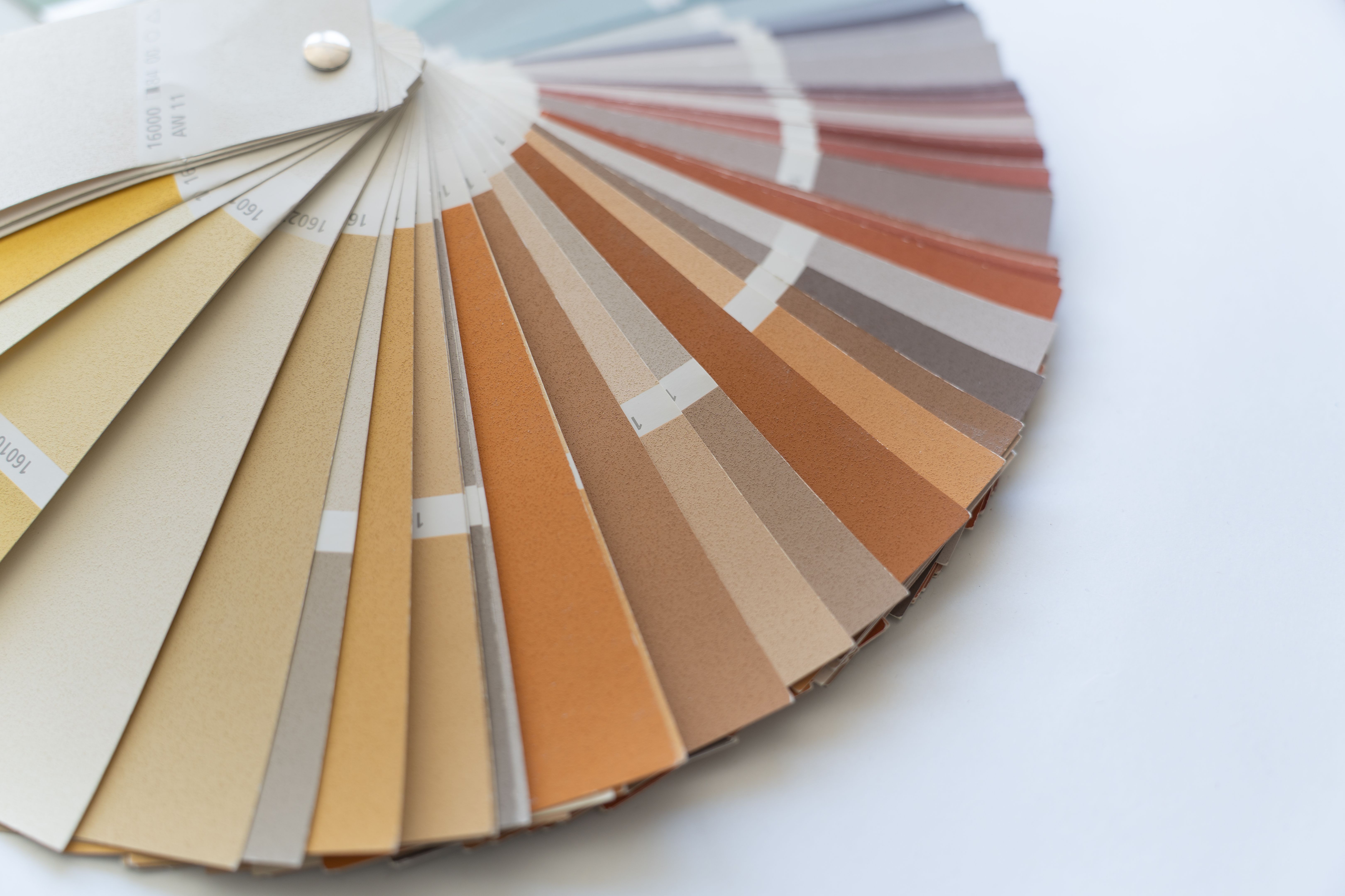 paint color selection