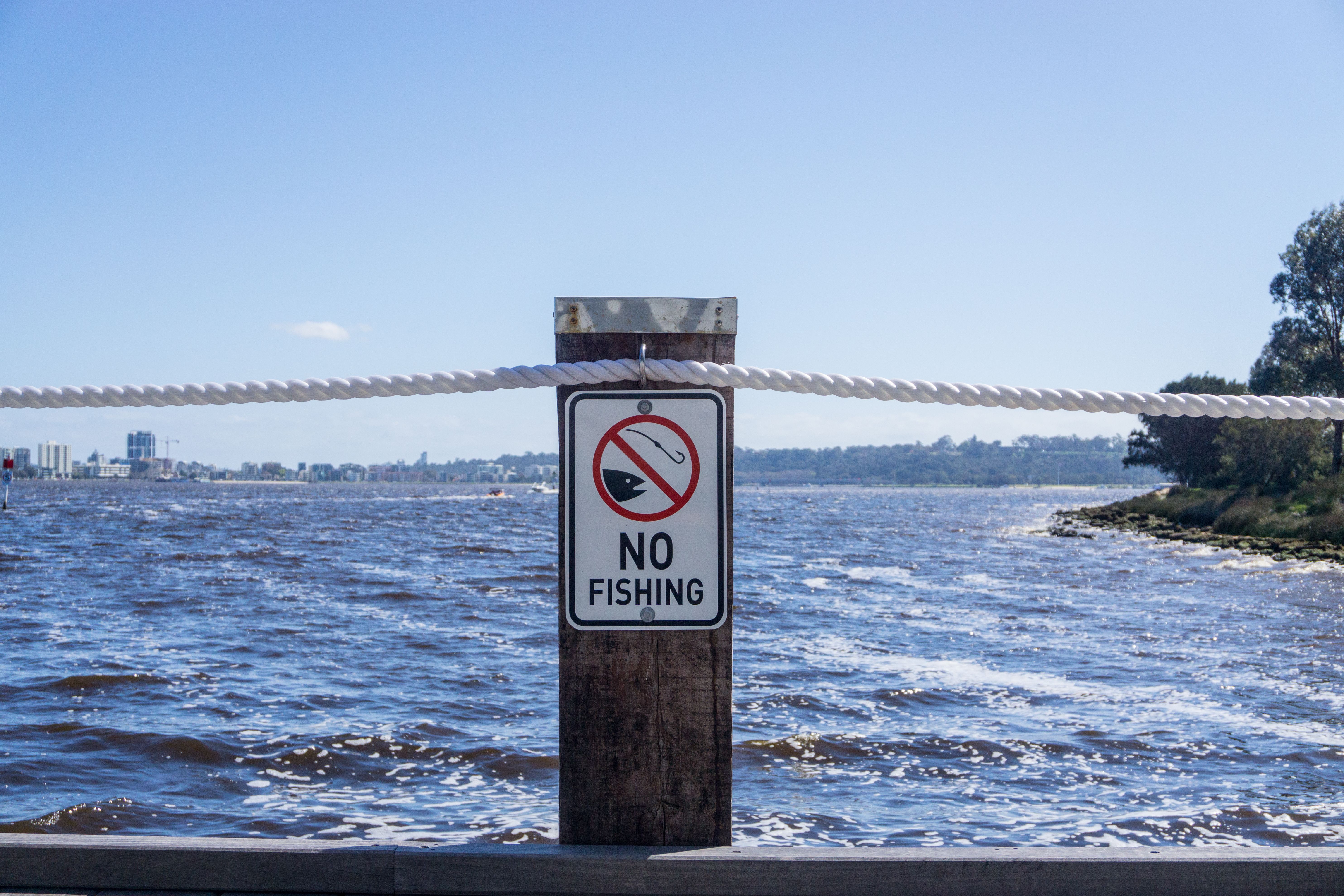 local fishing regulations