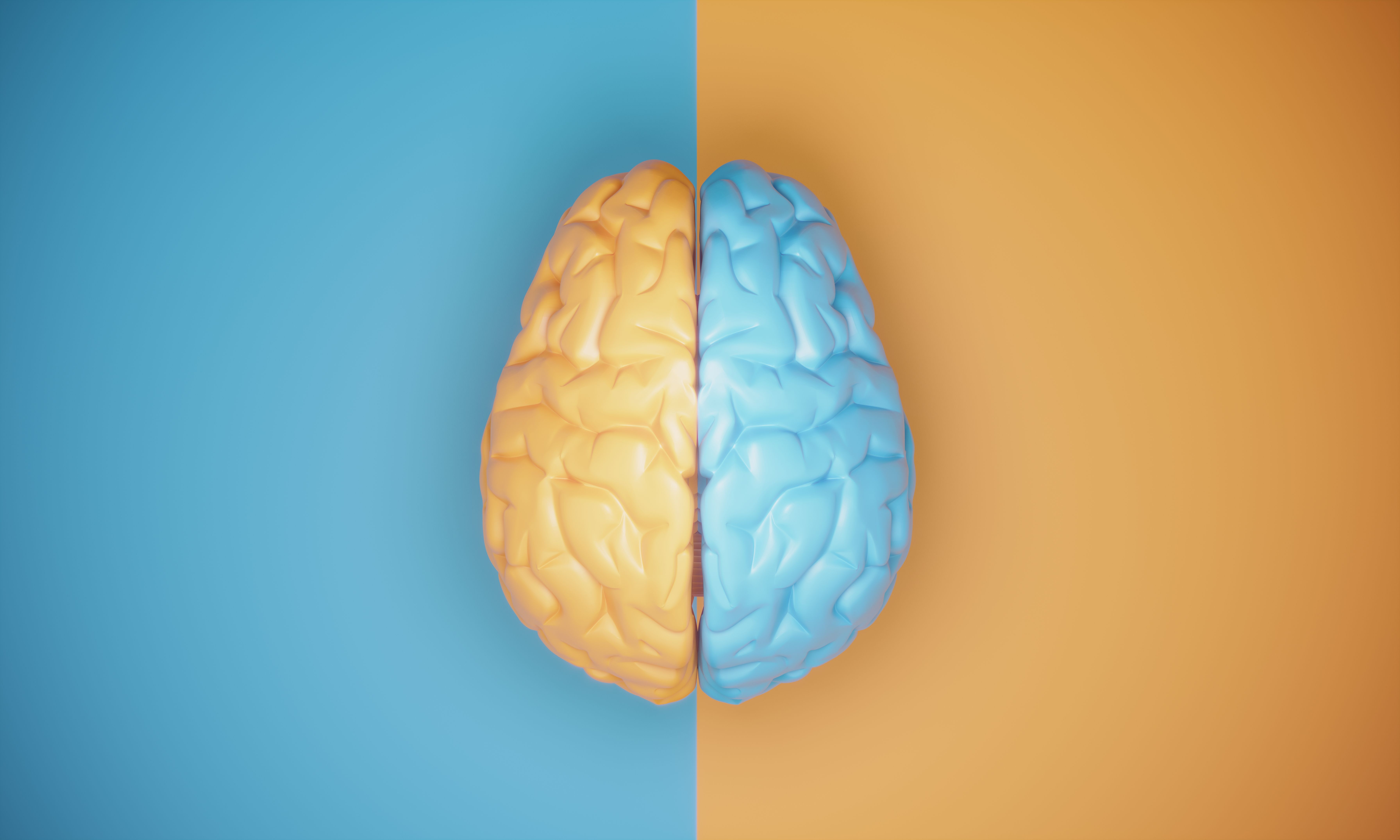 Contrast Brain Concept