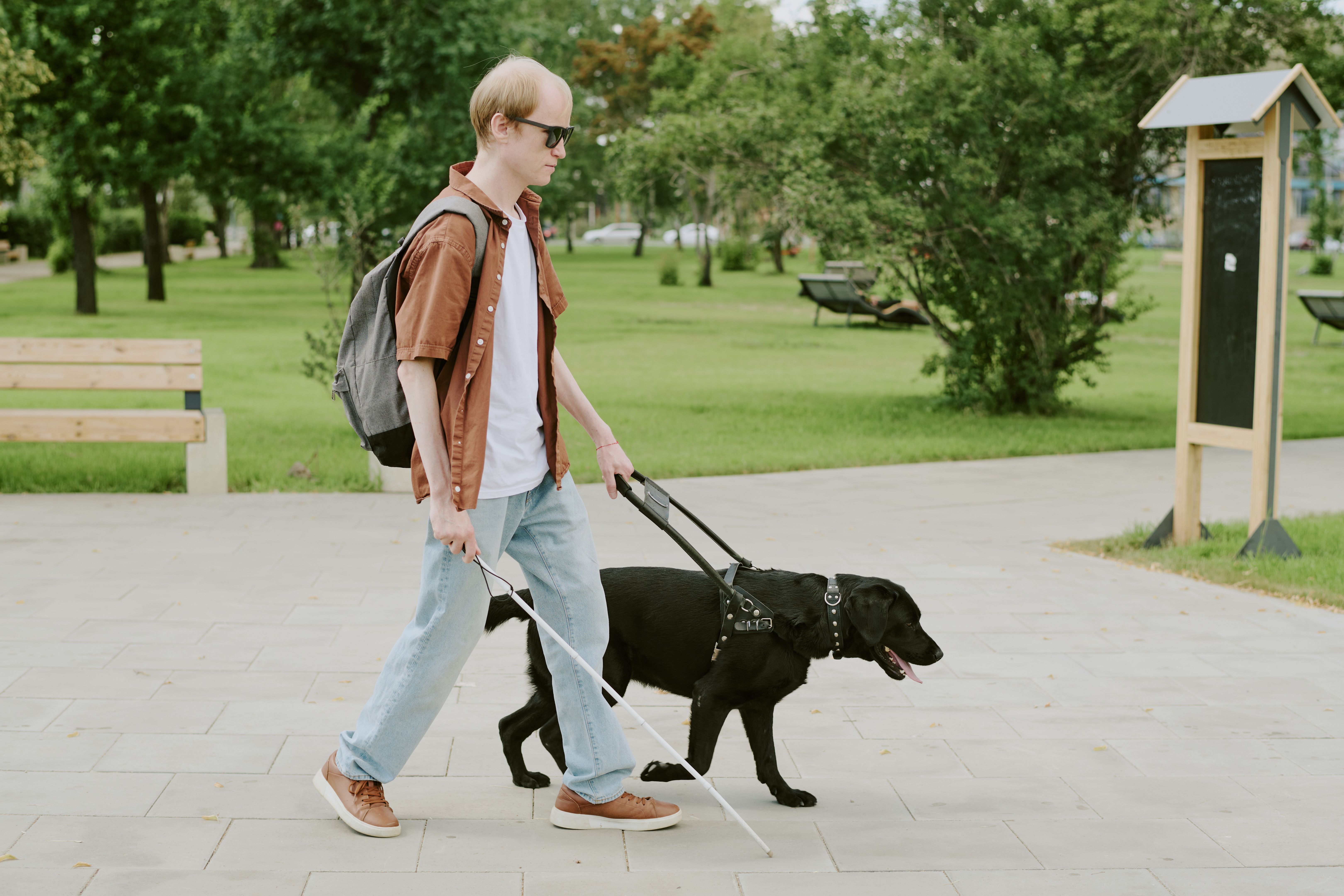 psychiatric service dog training