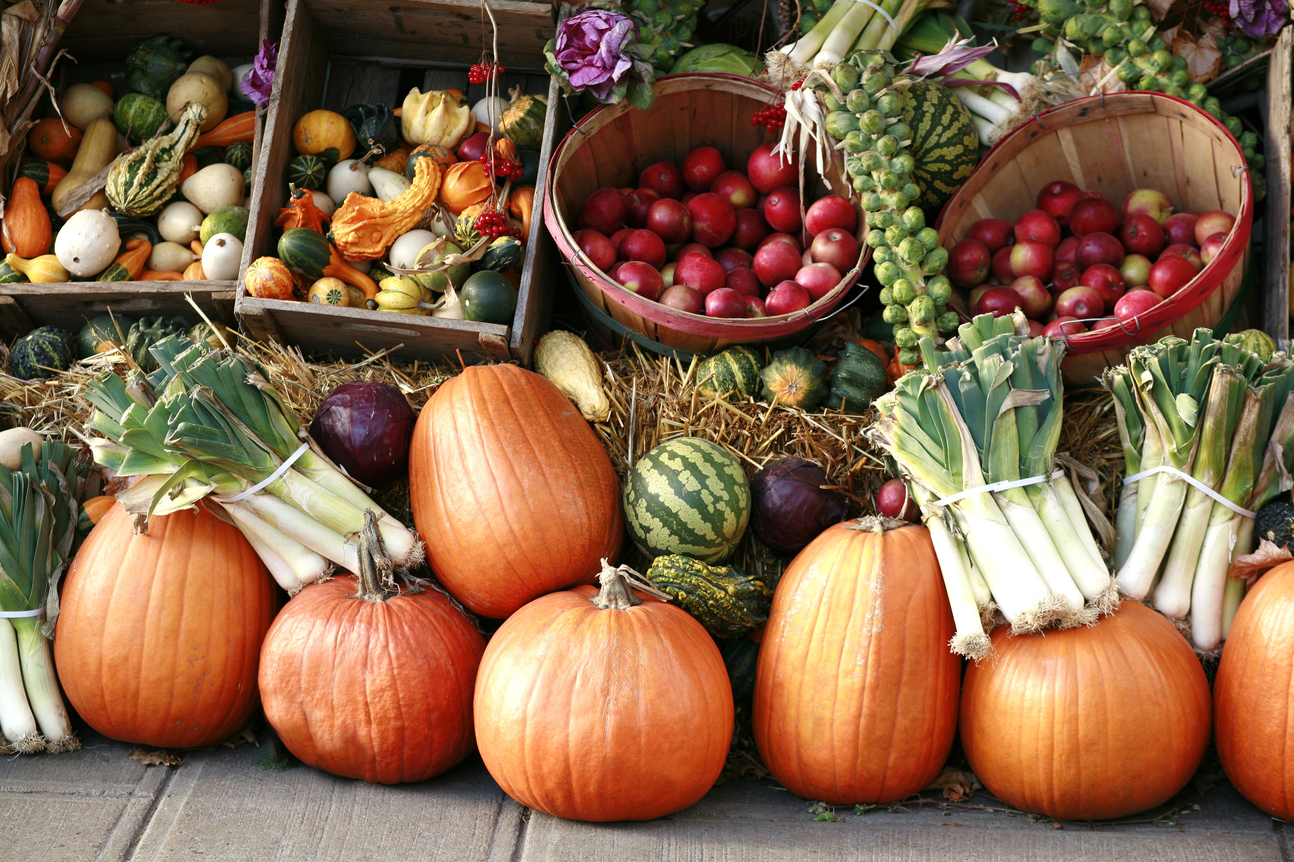Pumpkins and gourds at farmer's market. Pumpkins and gourds at farmer's market.