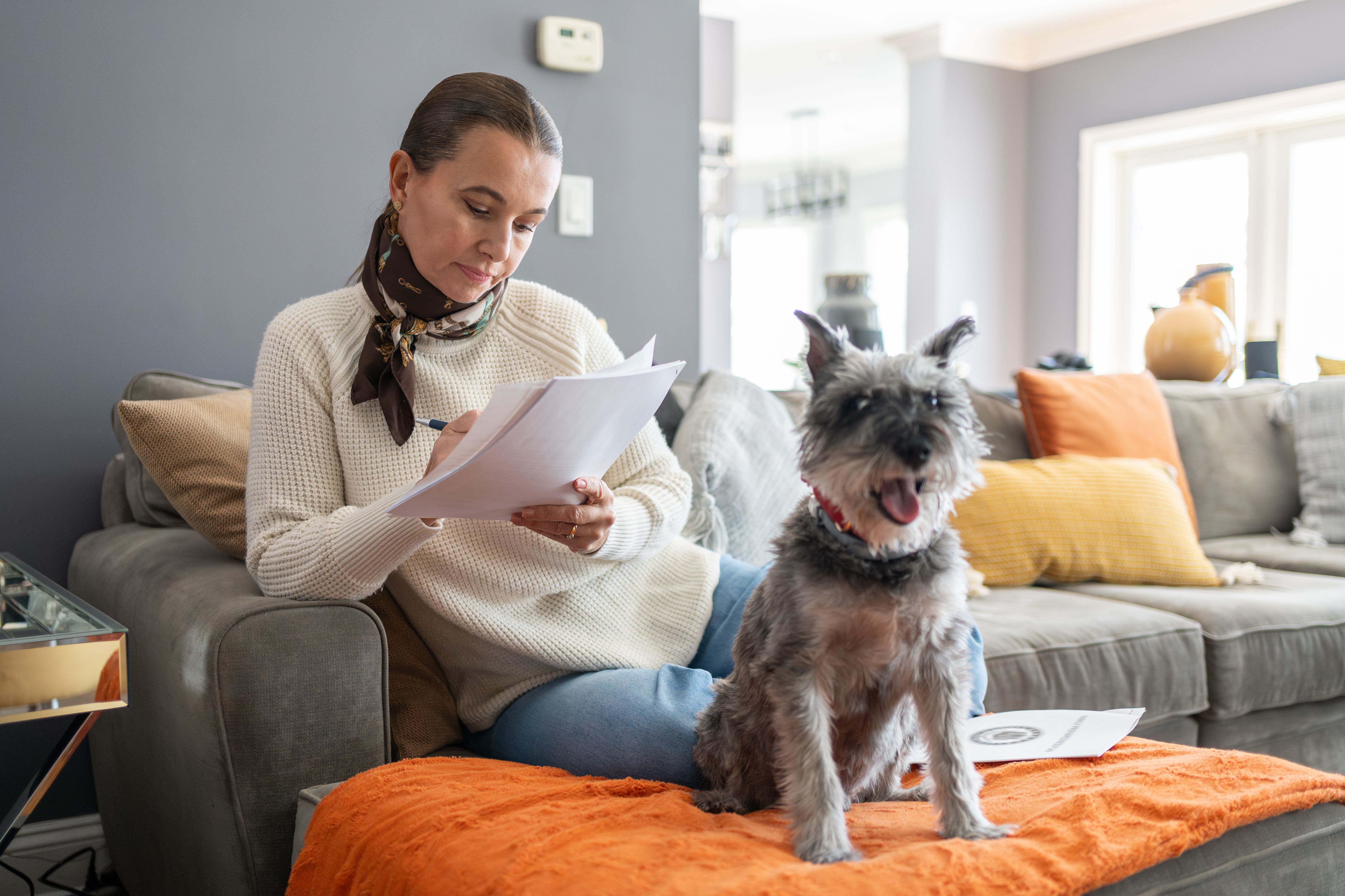 comparing pet insurance