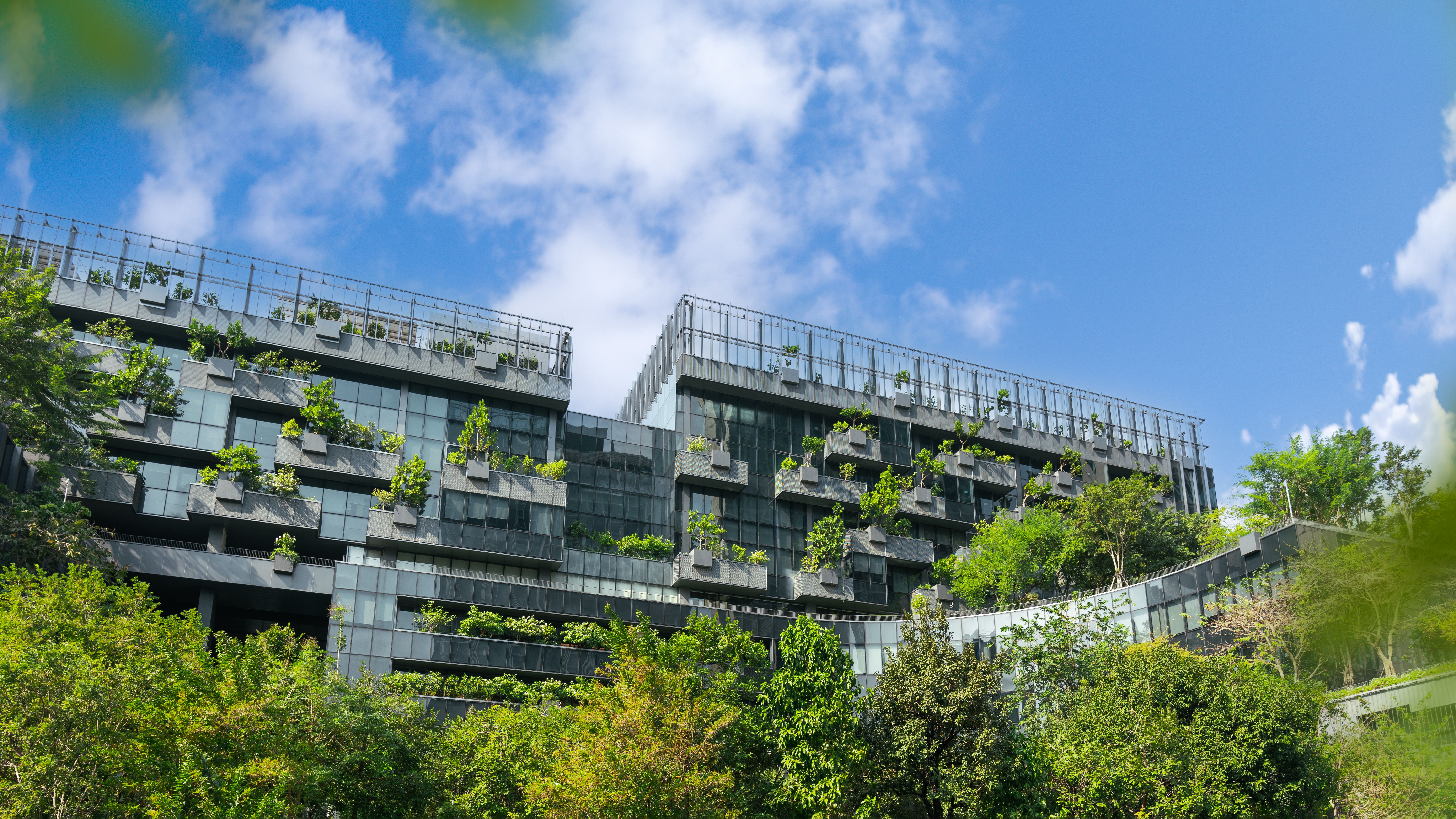 sustainable building