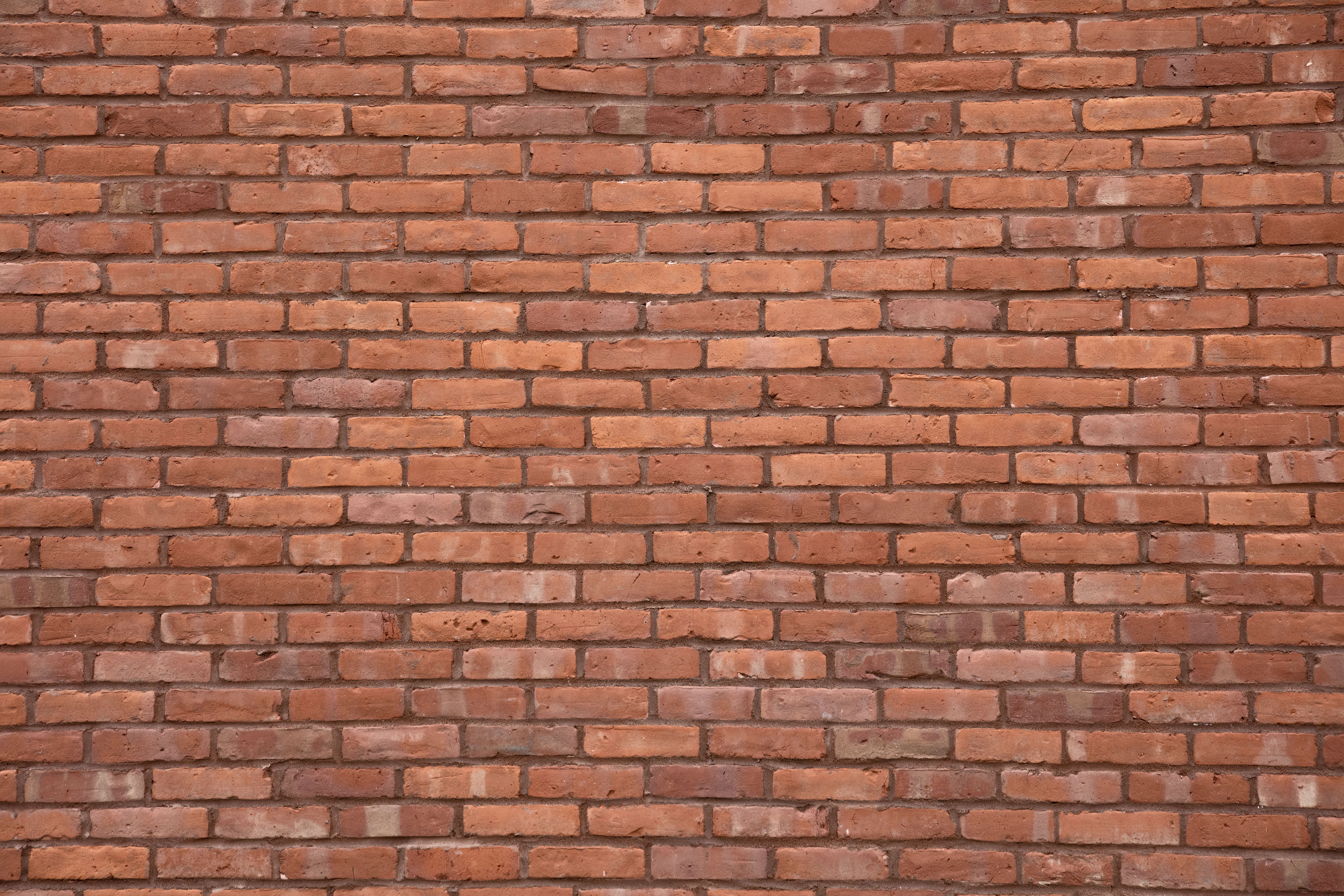 brick wall