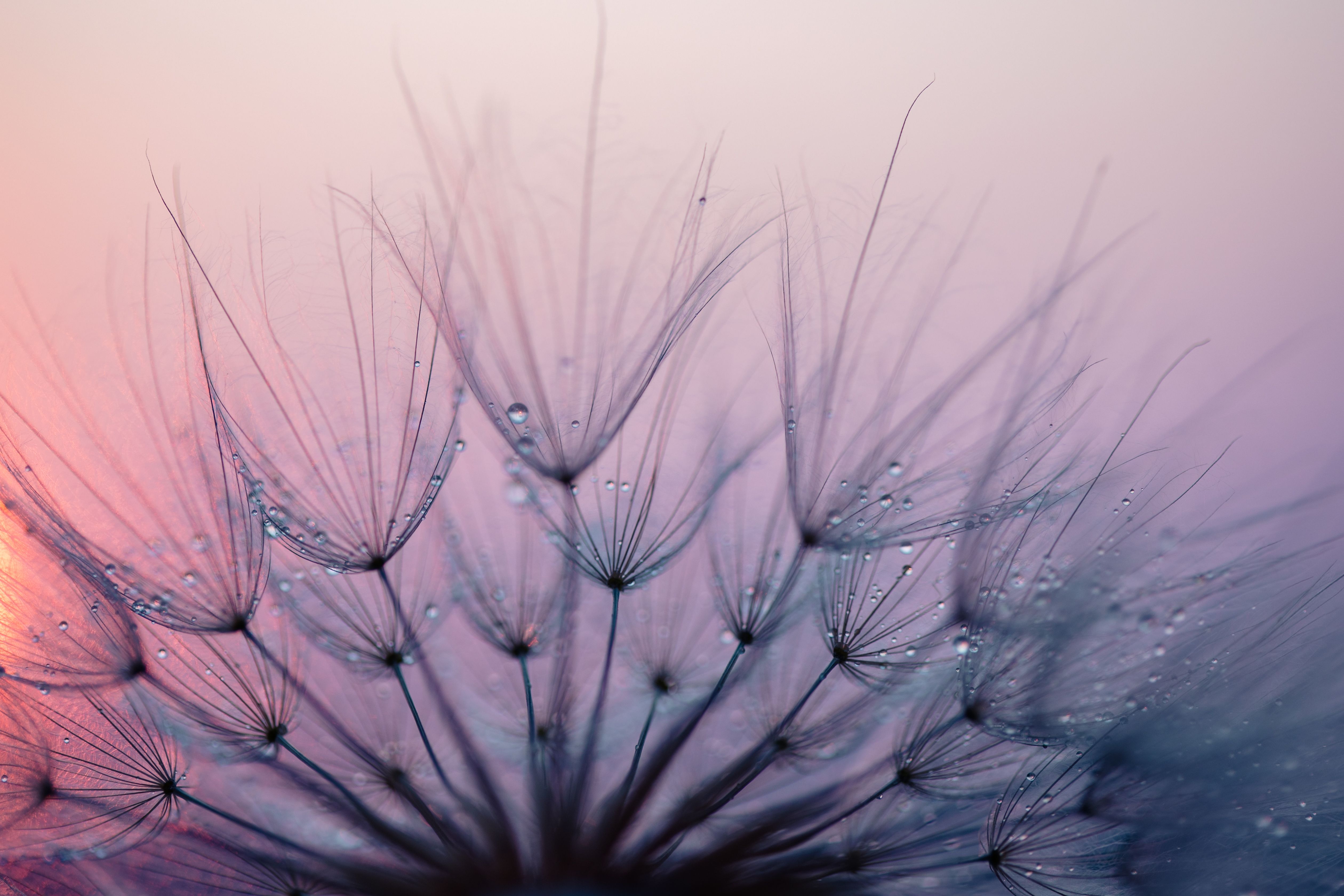 spiritual transformation