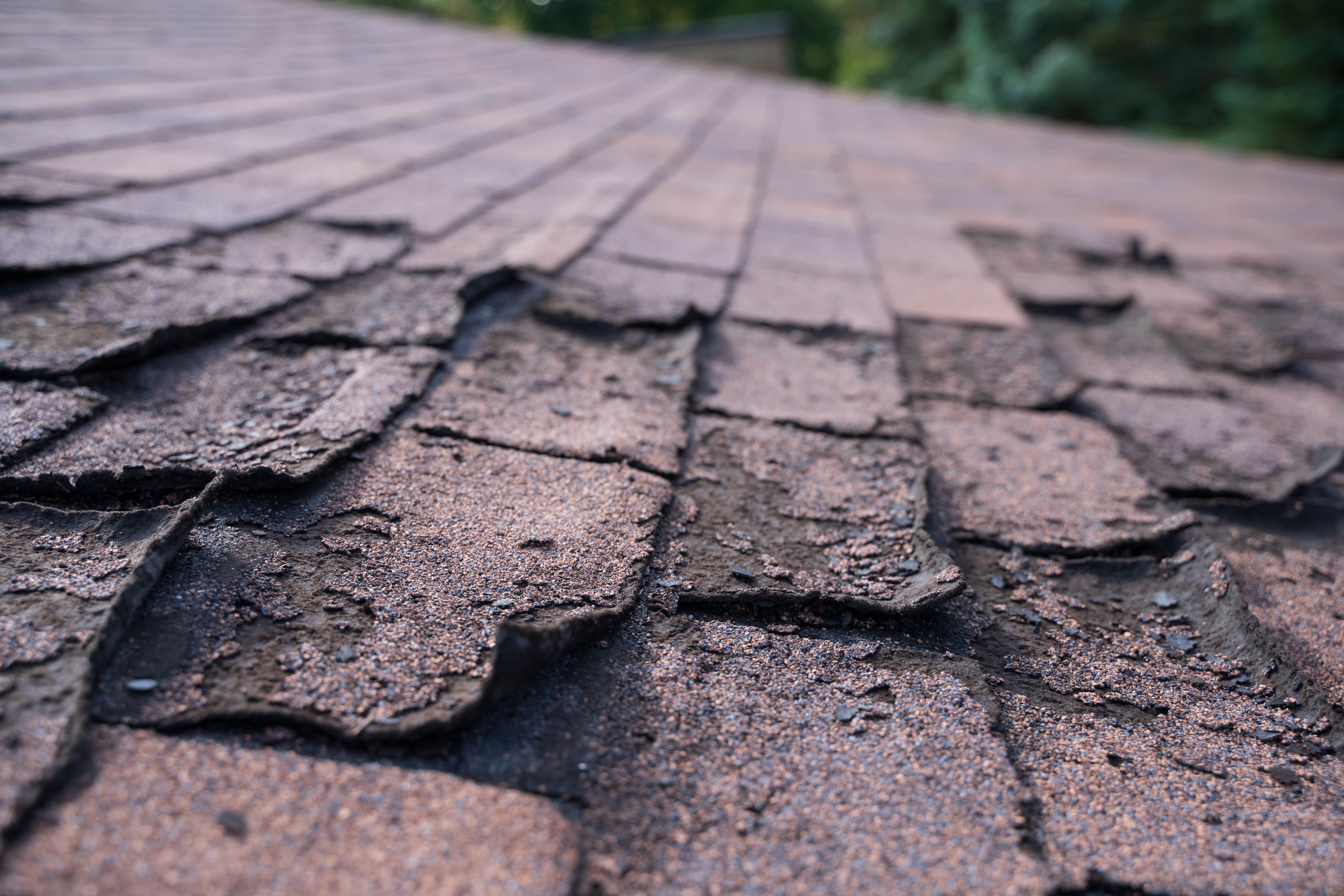 high definition shingles