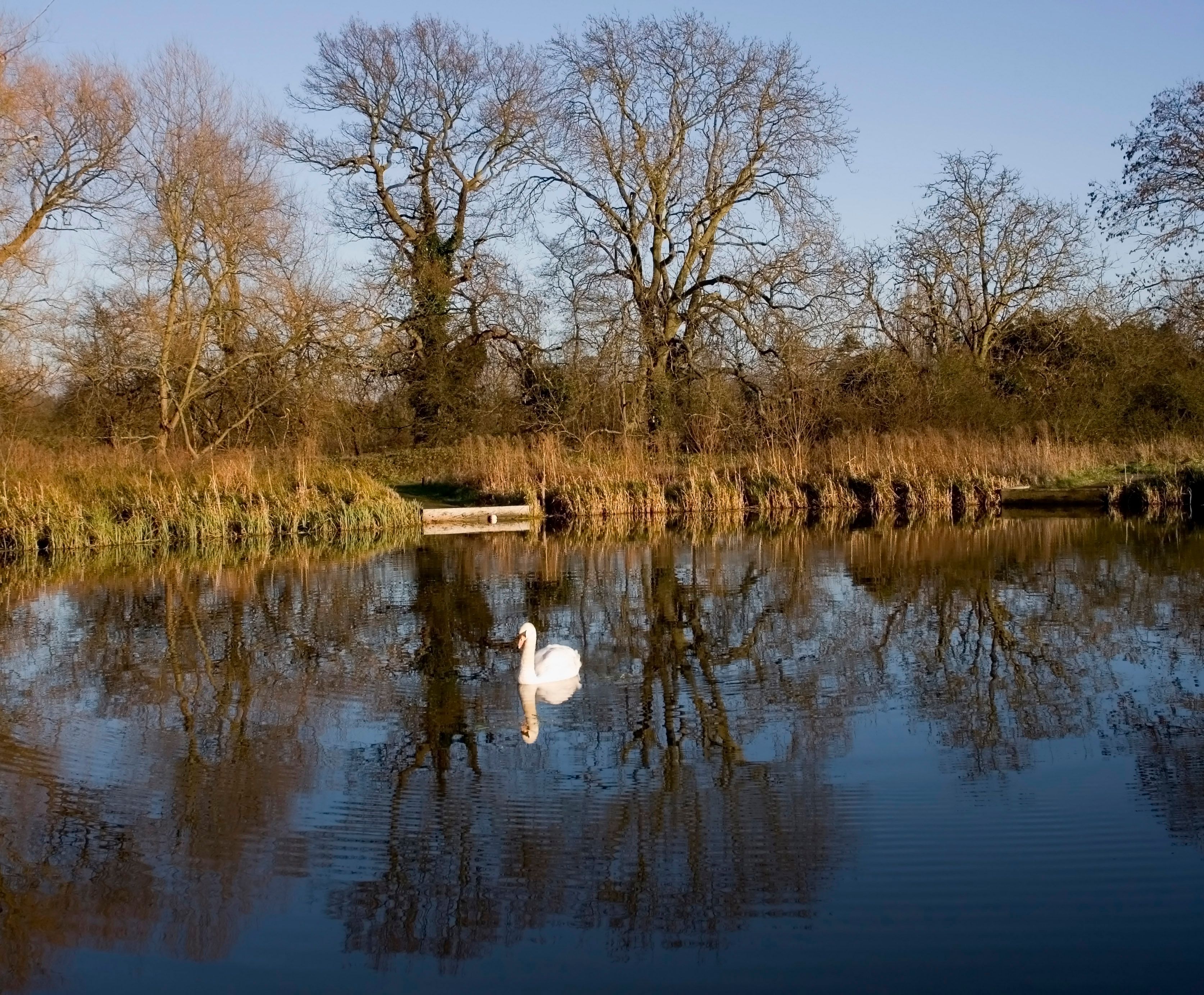 avon lake neighborhood