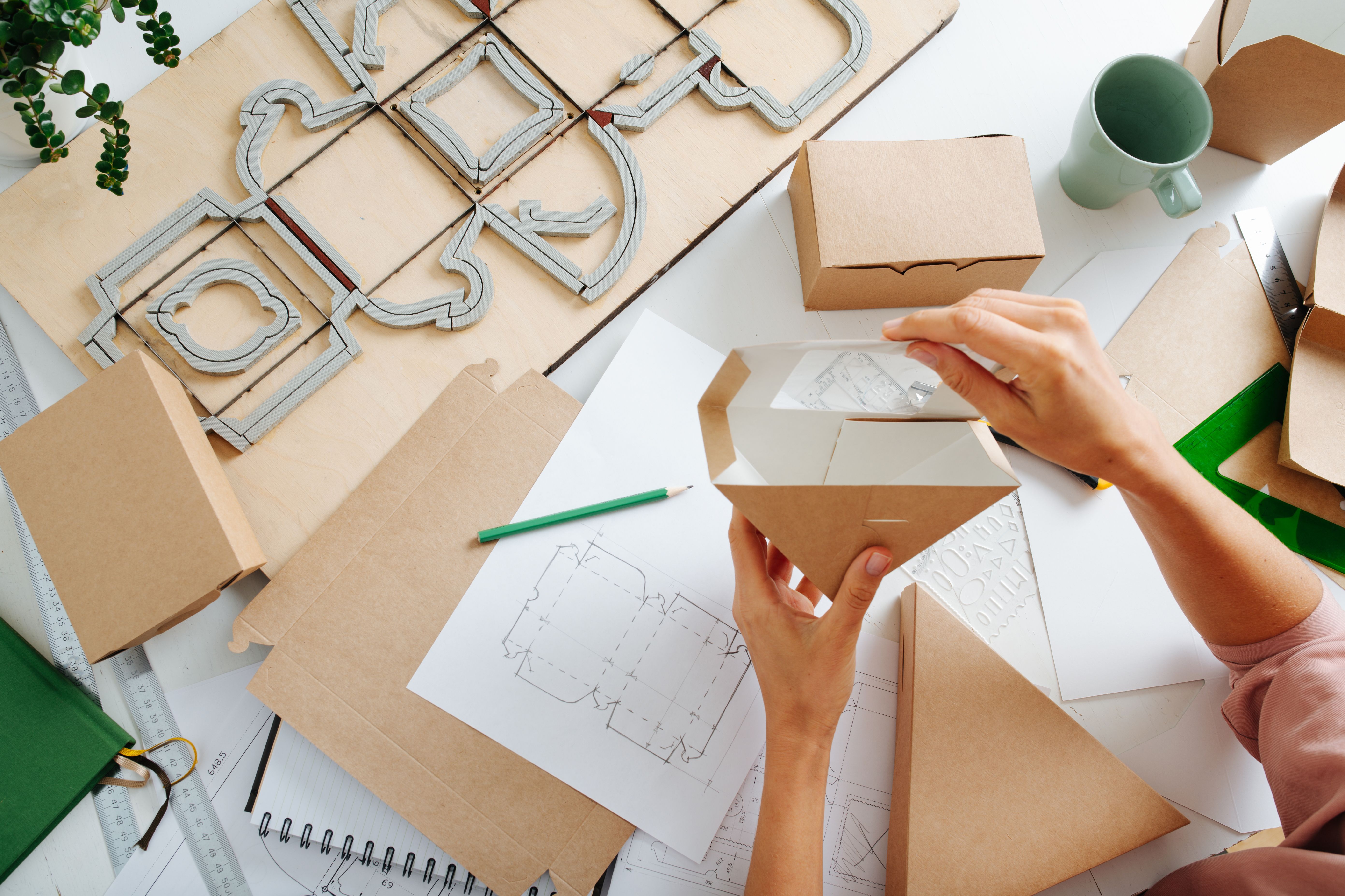 cardboard creativity
