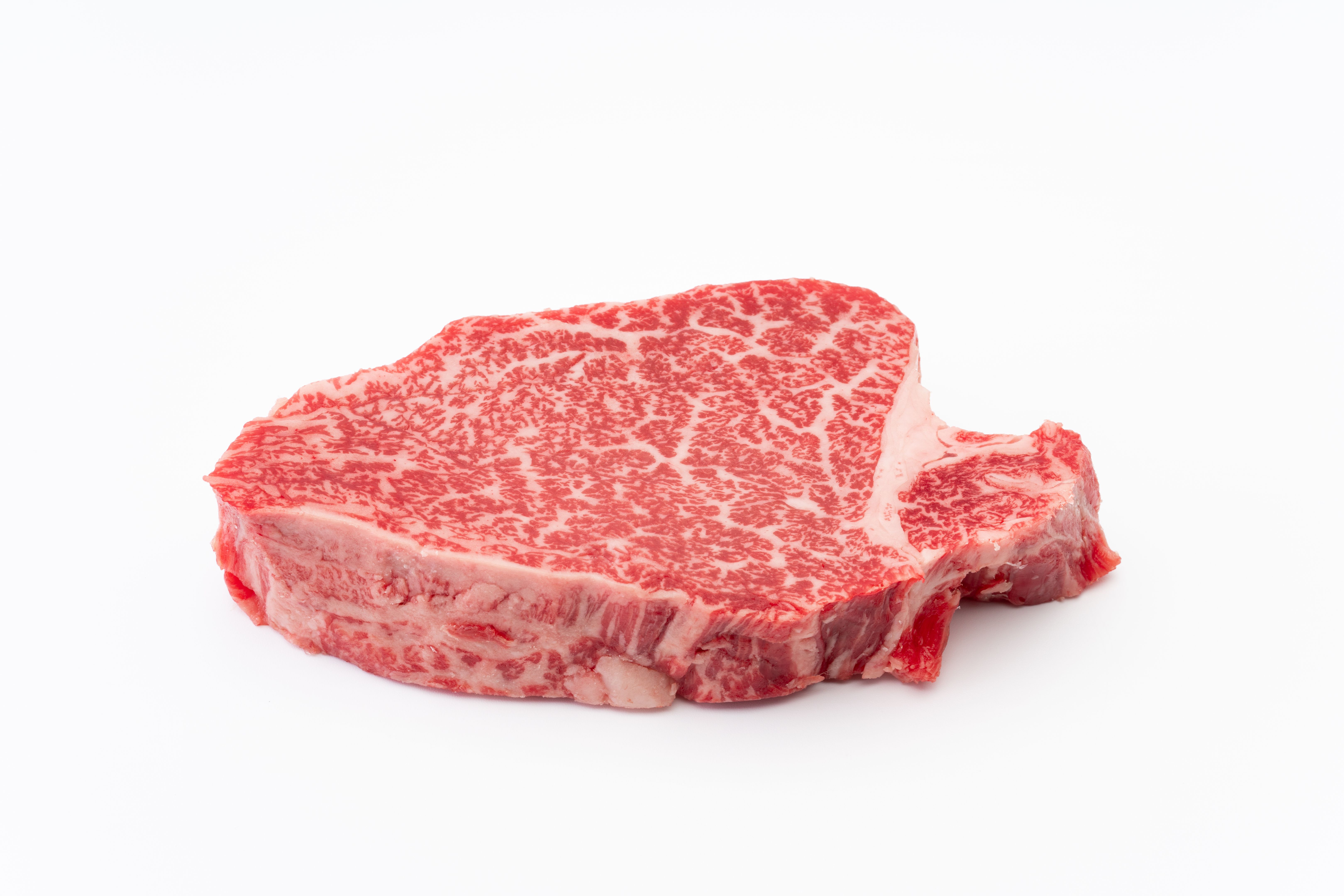 wagyu beef
