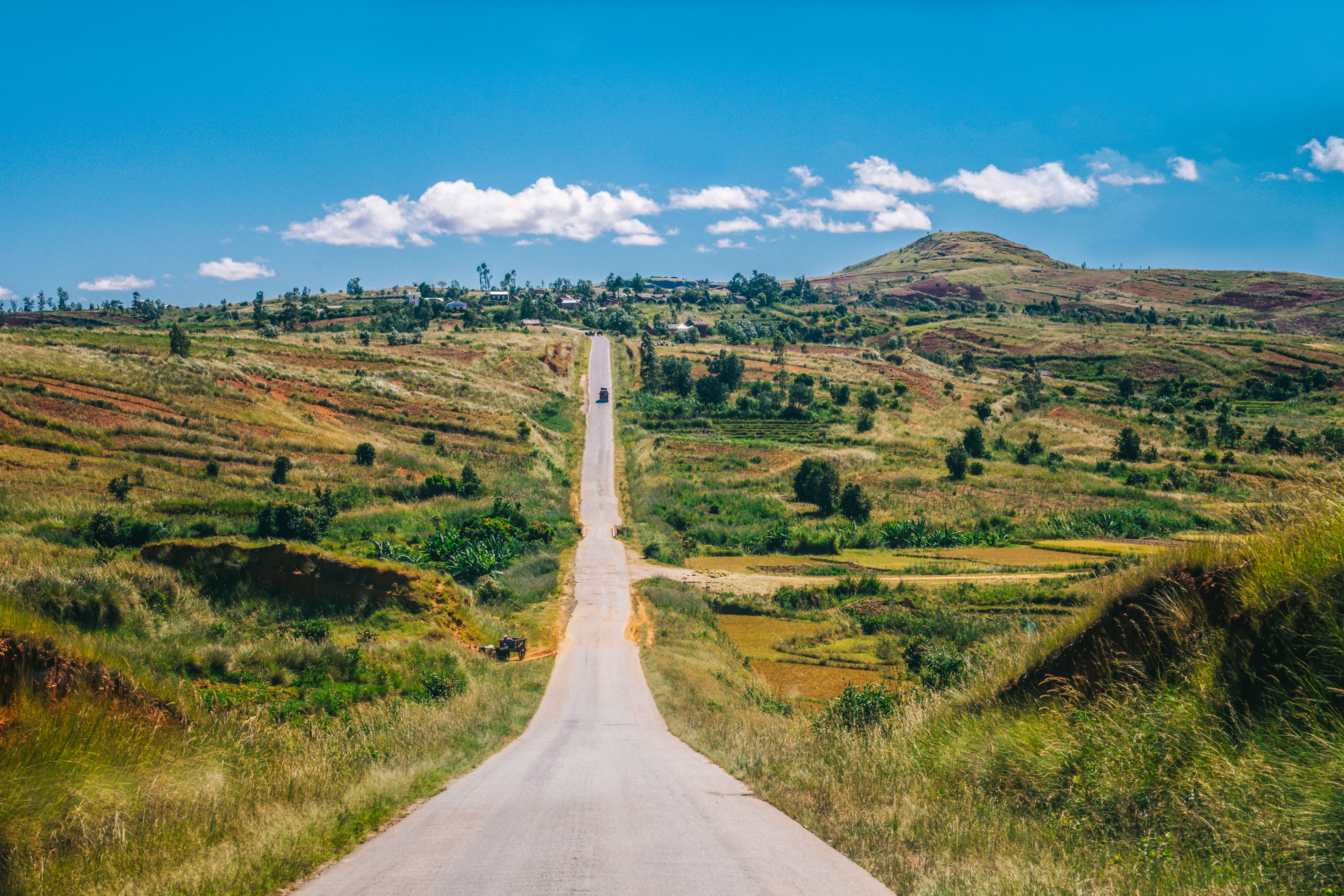 Landscape with the rice fields  ,Madagascar