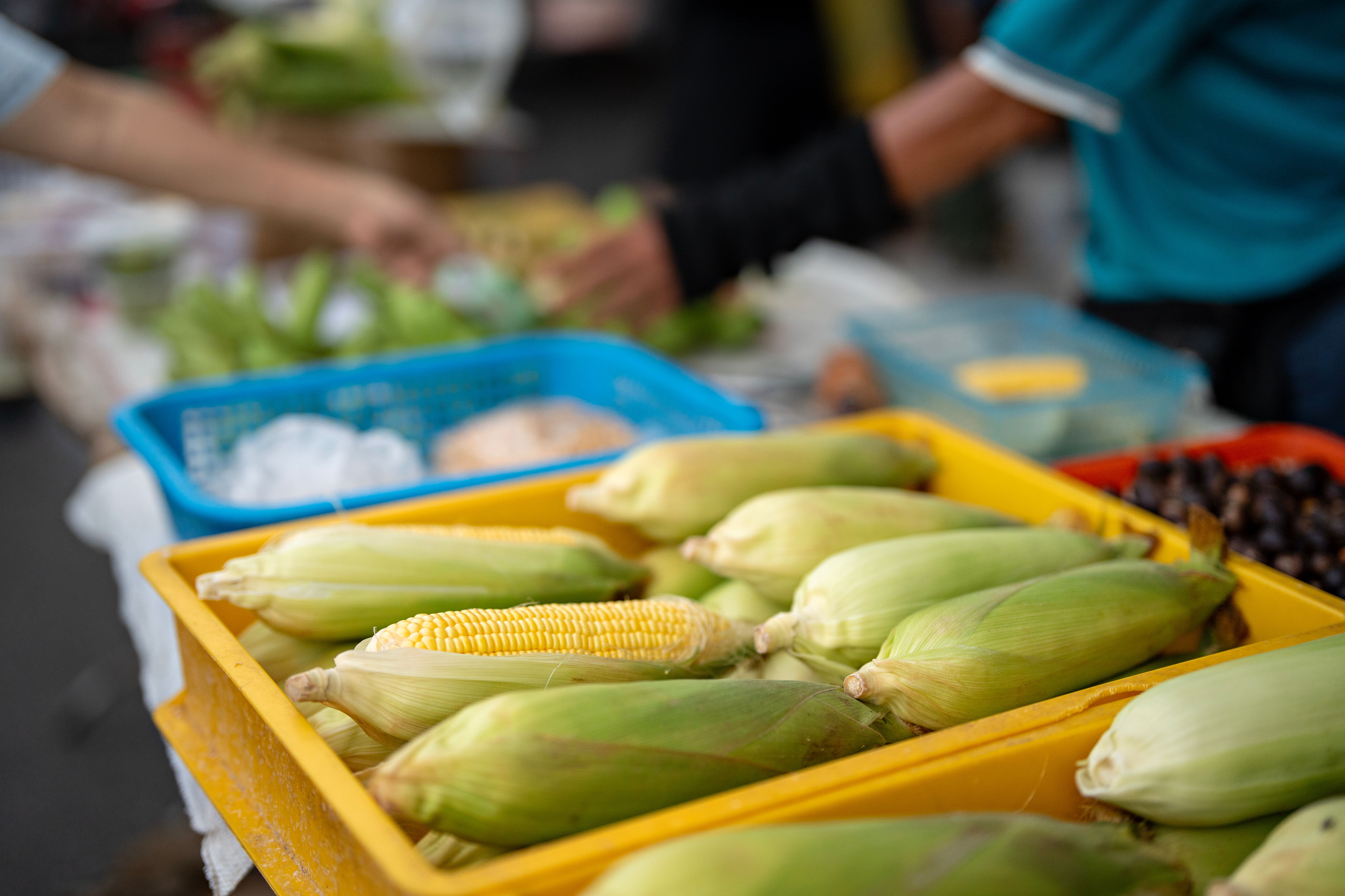 farmers market produce