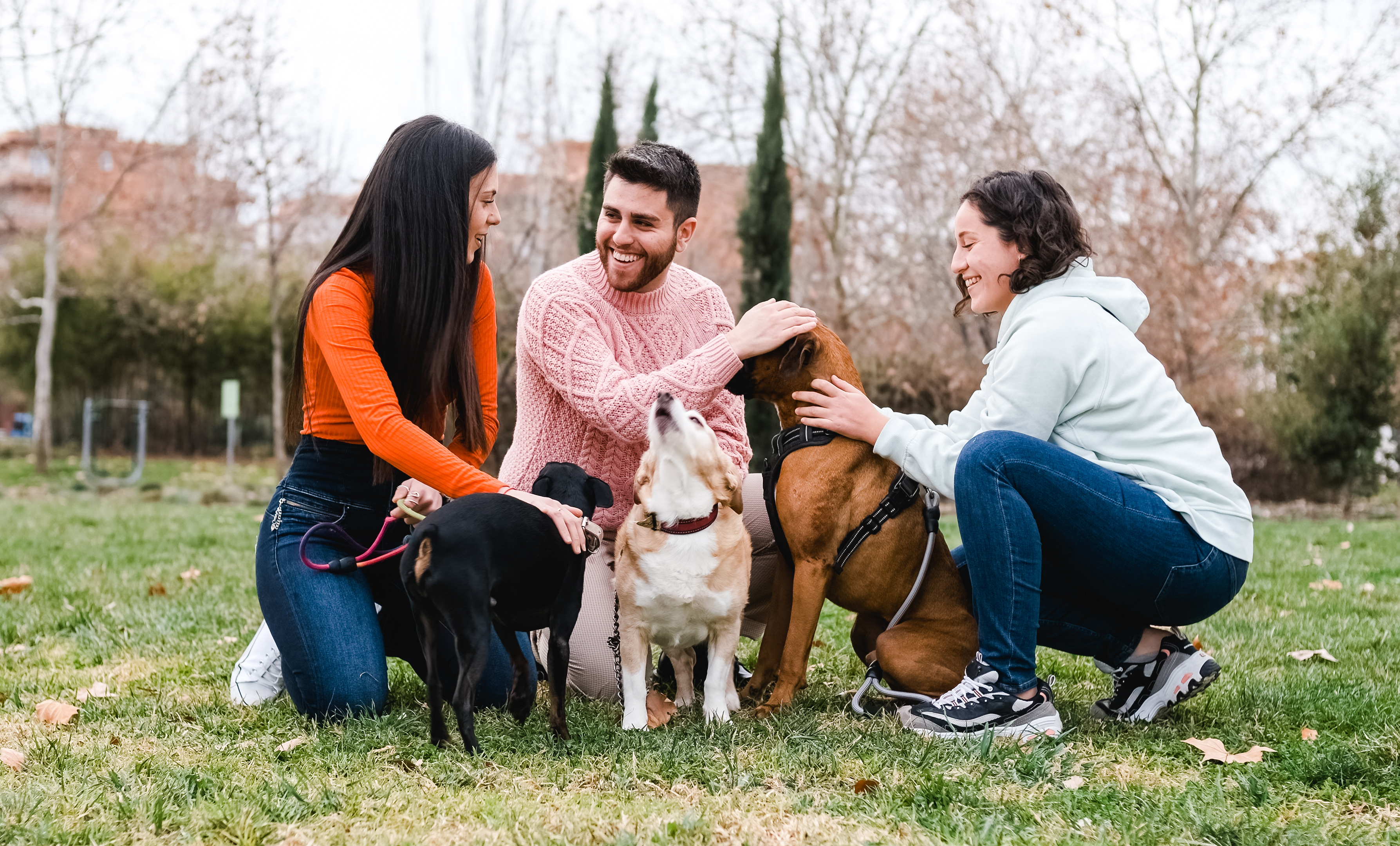 Group of friends meet in the park with their dogs.