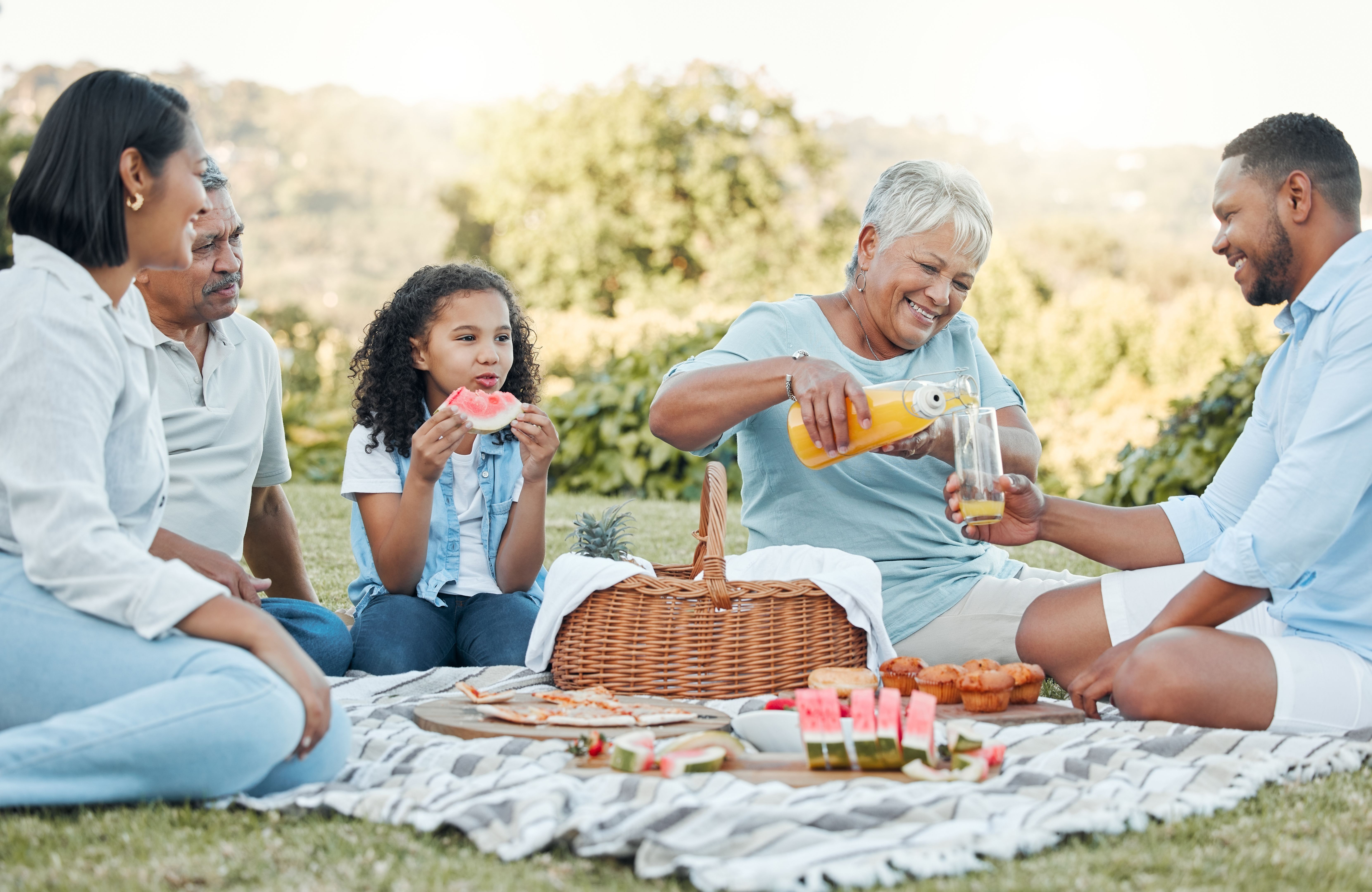 family picnic