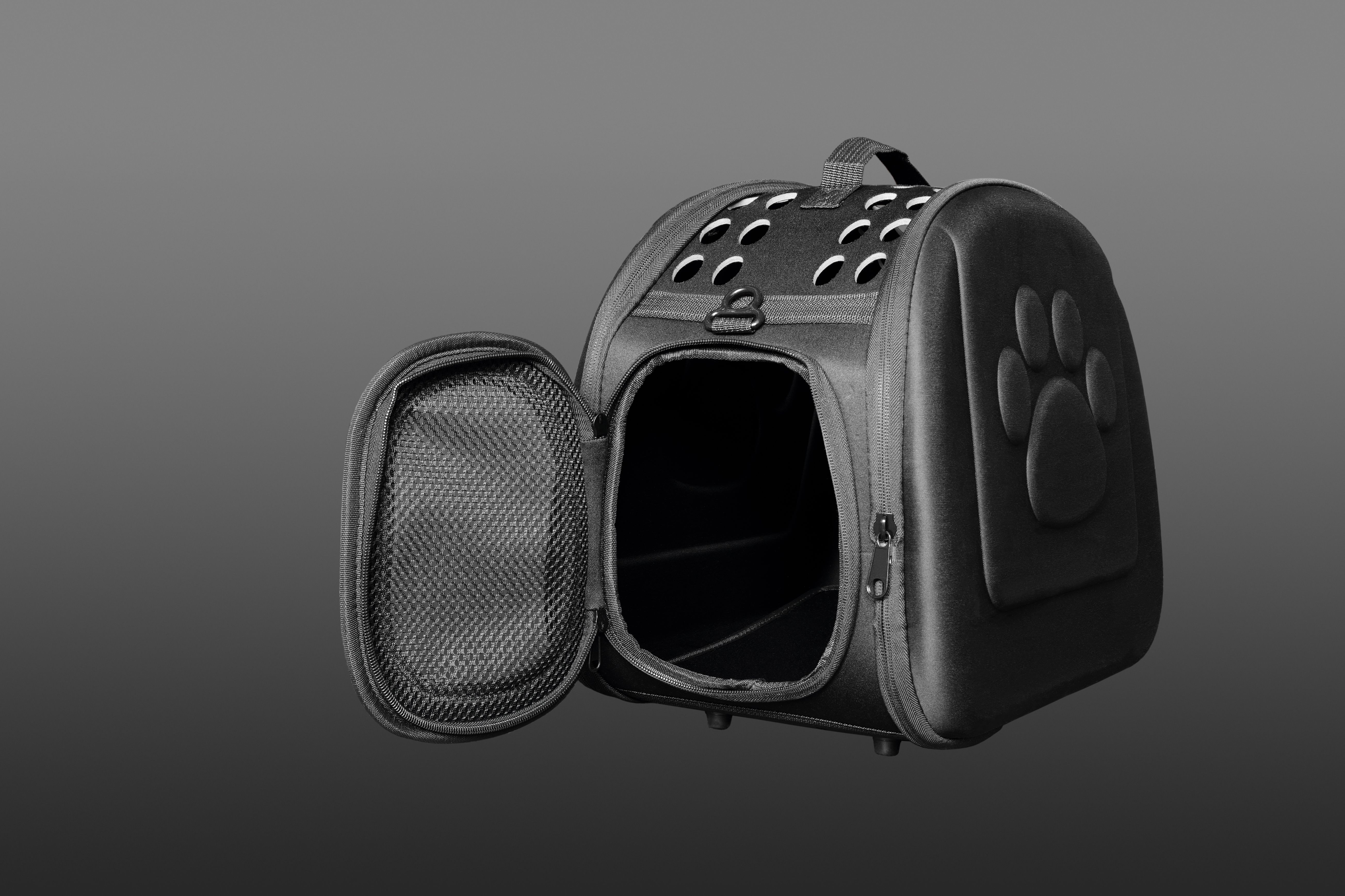 pet travel essentials