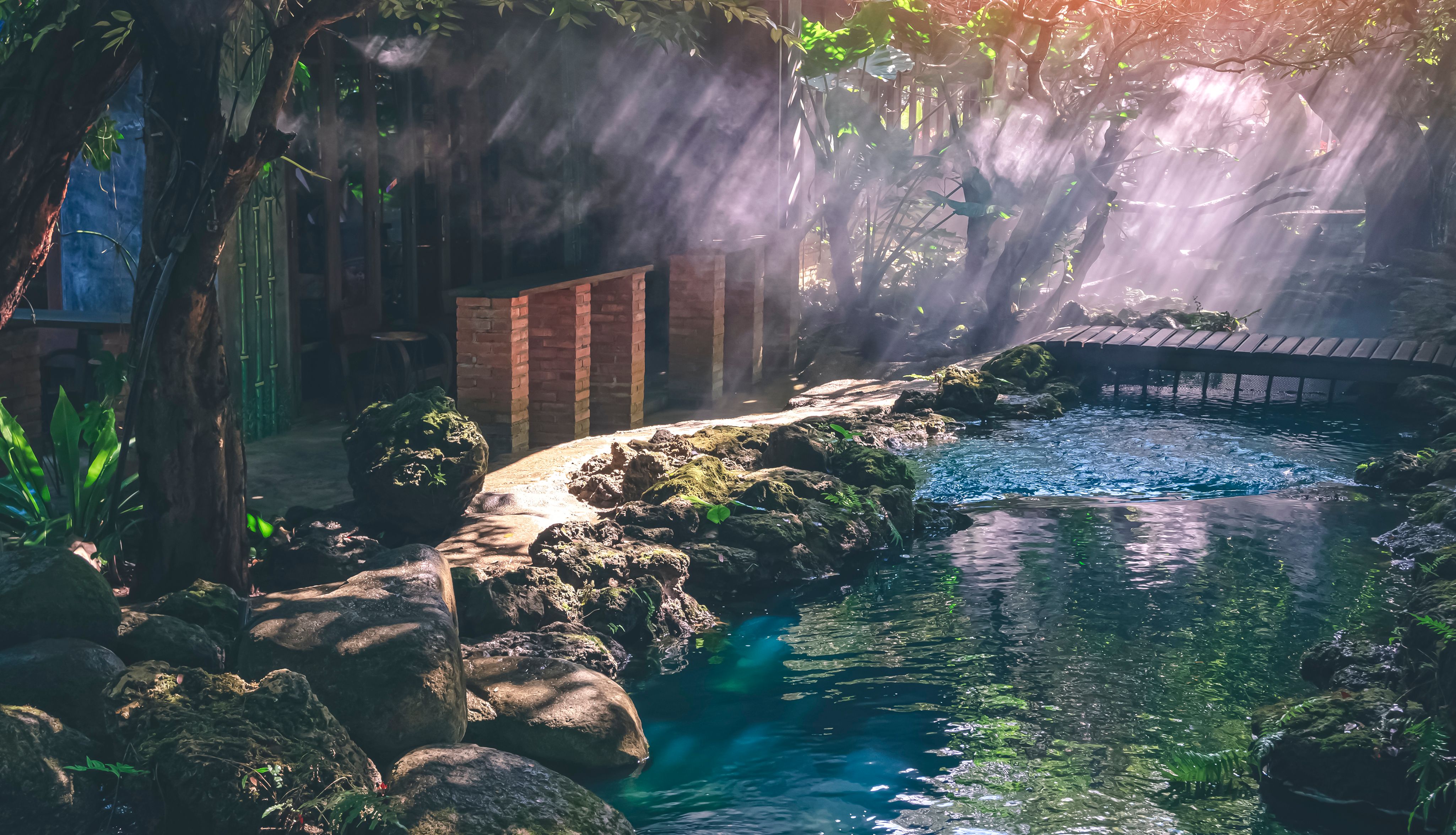 Mist and morning sunlight shine through the branches into small wooden bridge with walkway and streamlet in gardening area