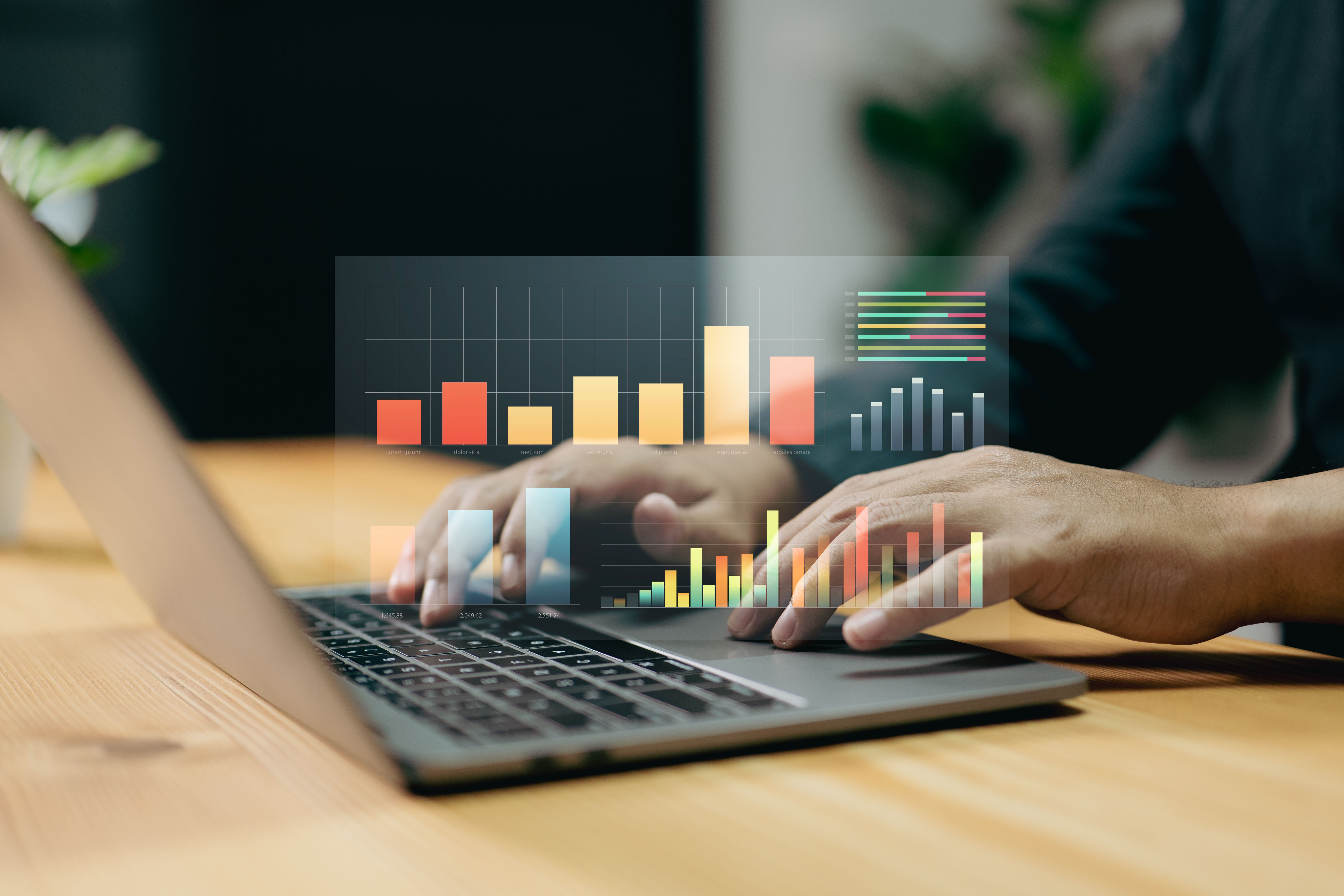 The business strategy involves using a laptop for digital marketing and making data warehouse purchases. The business strategy involves using a laptop for digital marketing and making data warehouse purchases.