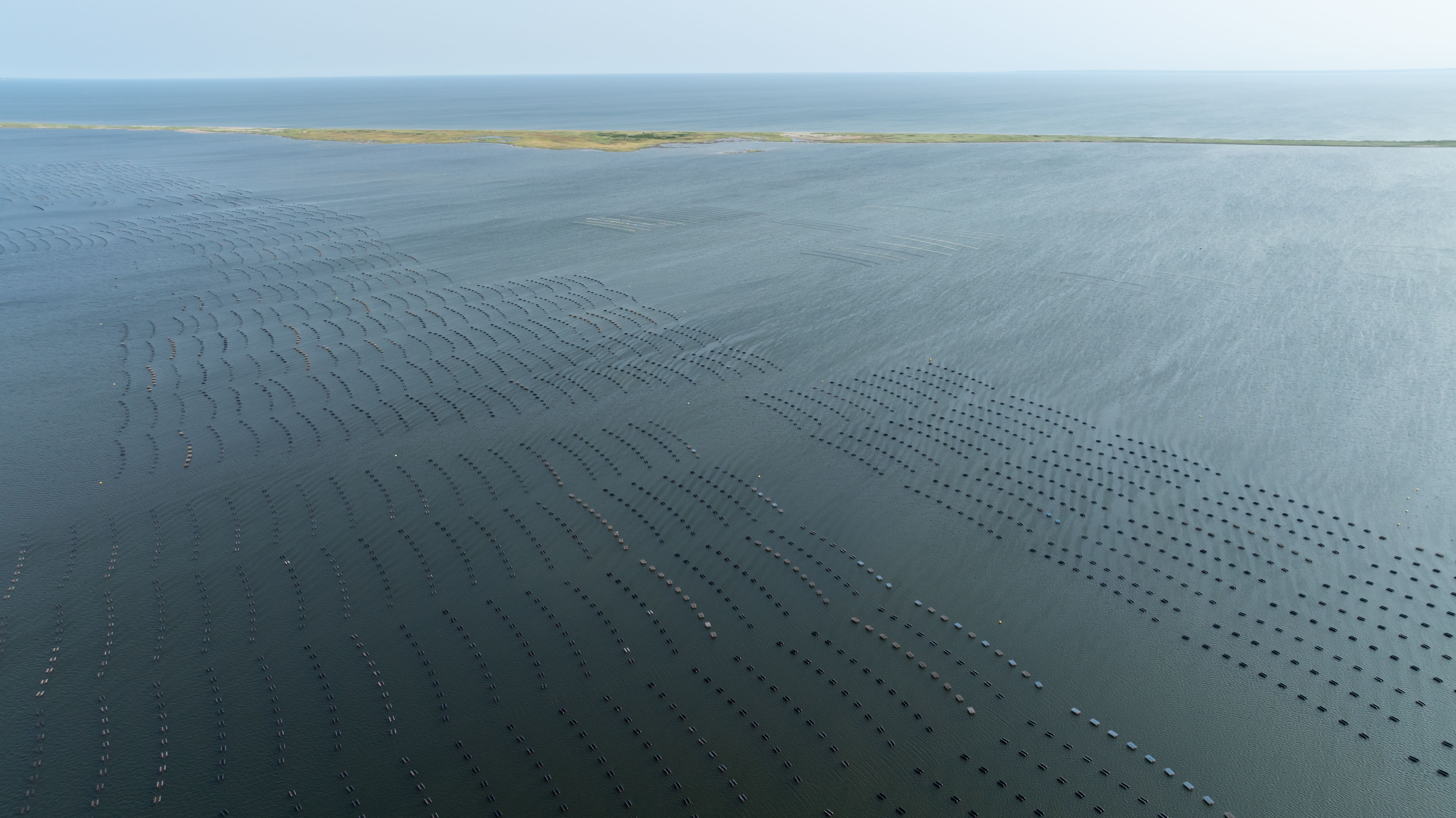 conservation fishing