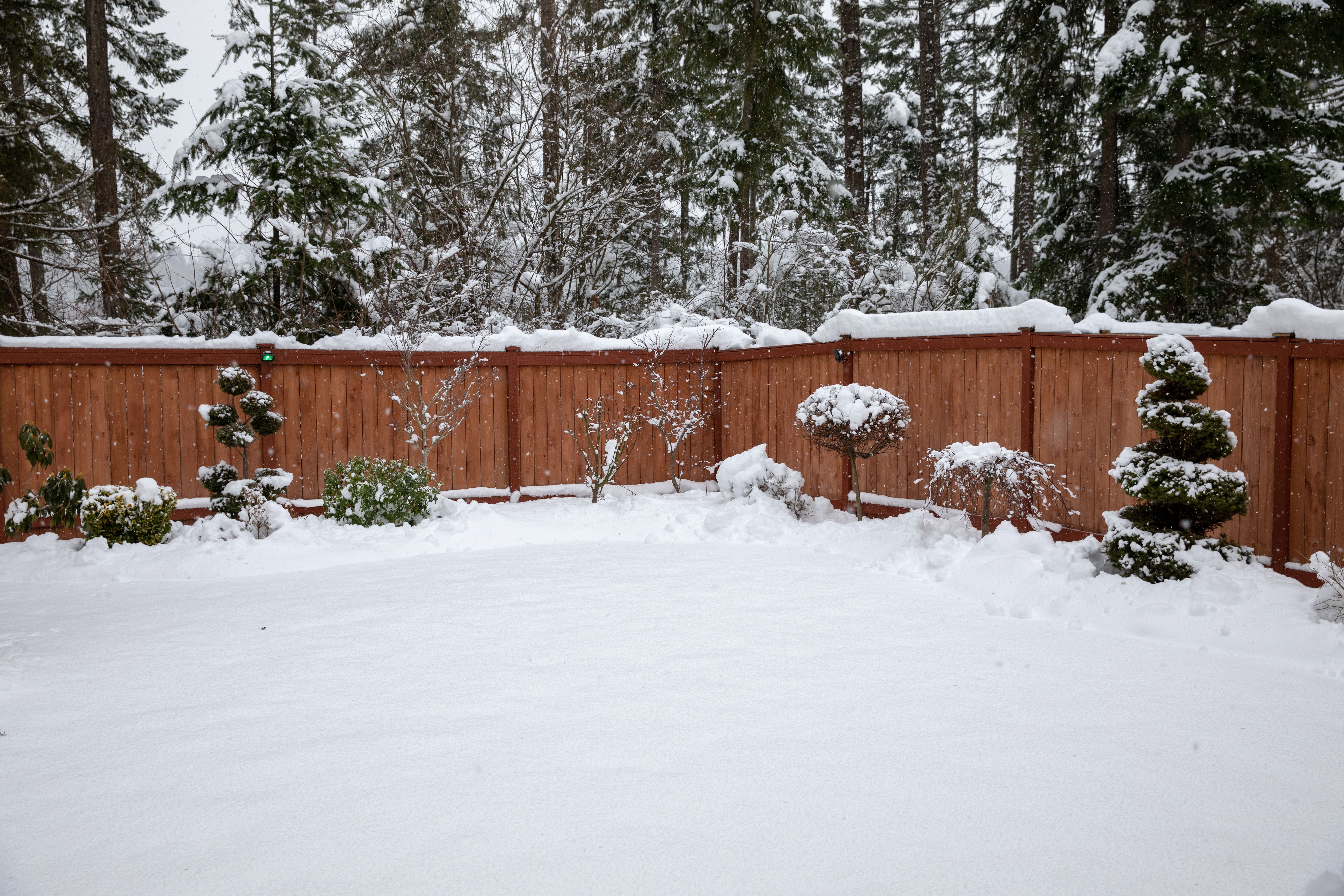 winter fence care