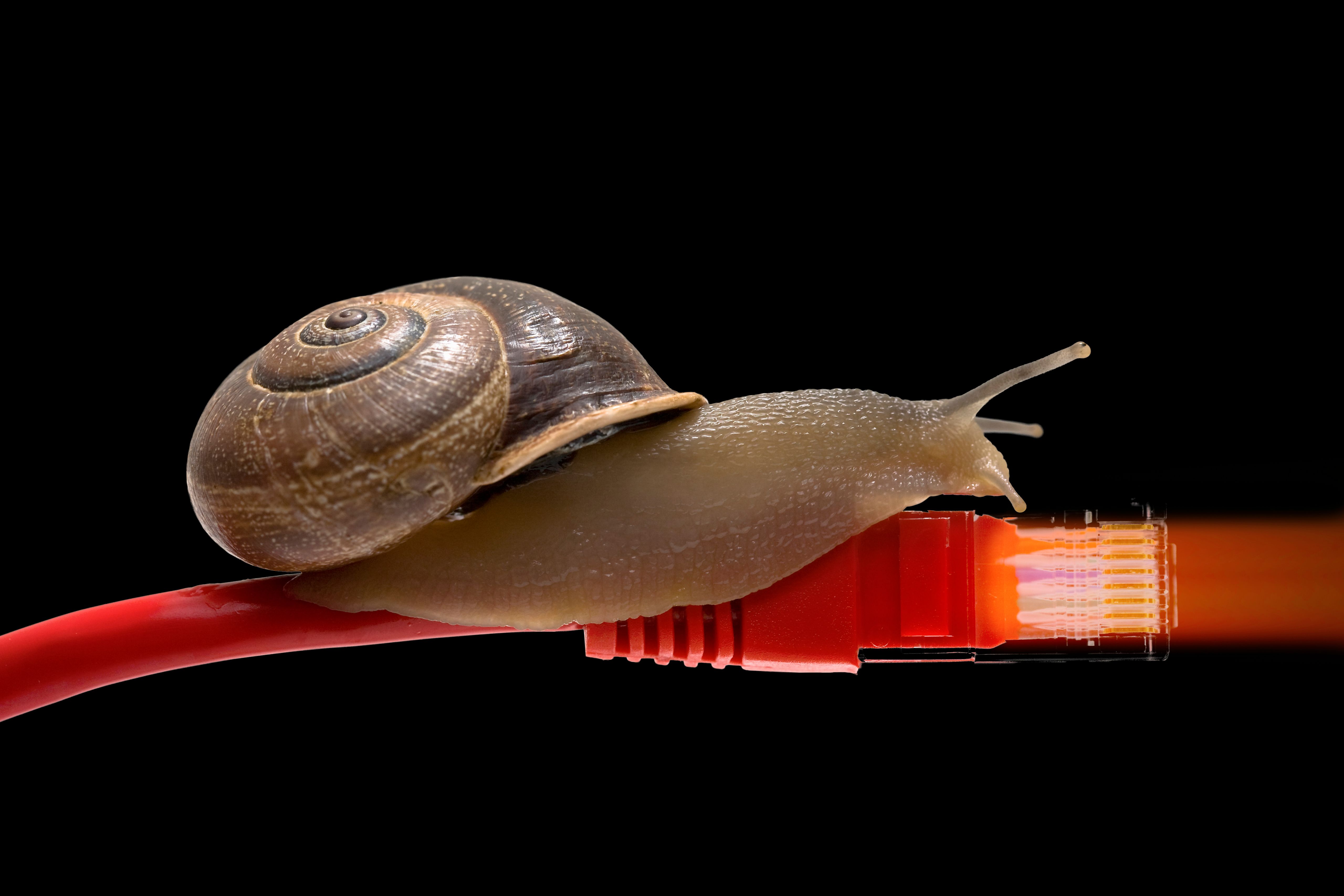 slow internet connection