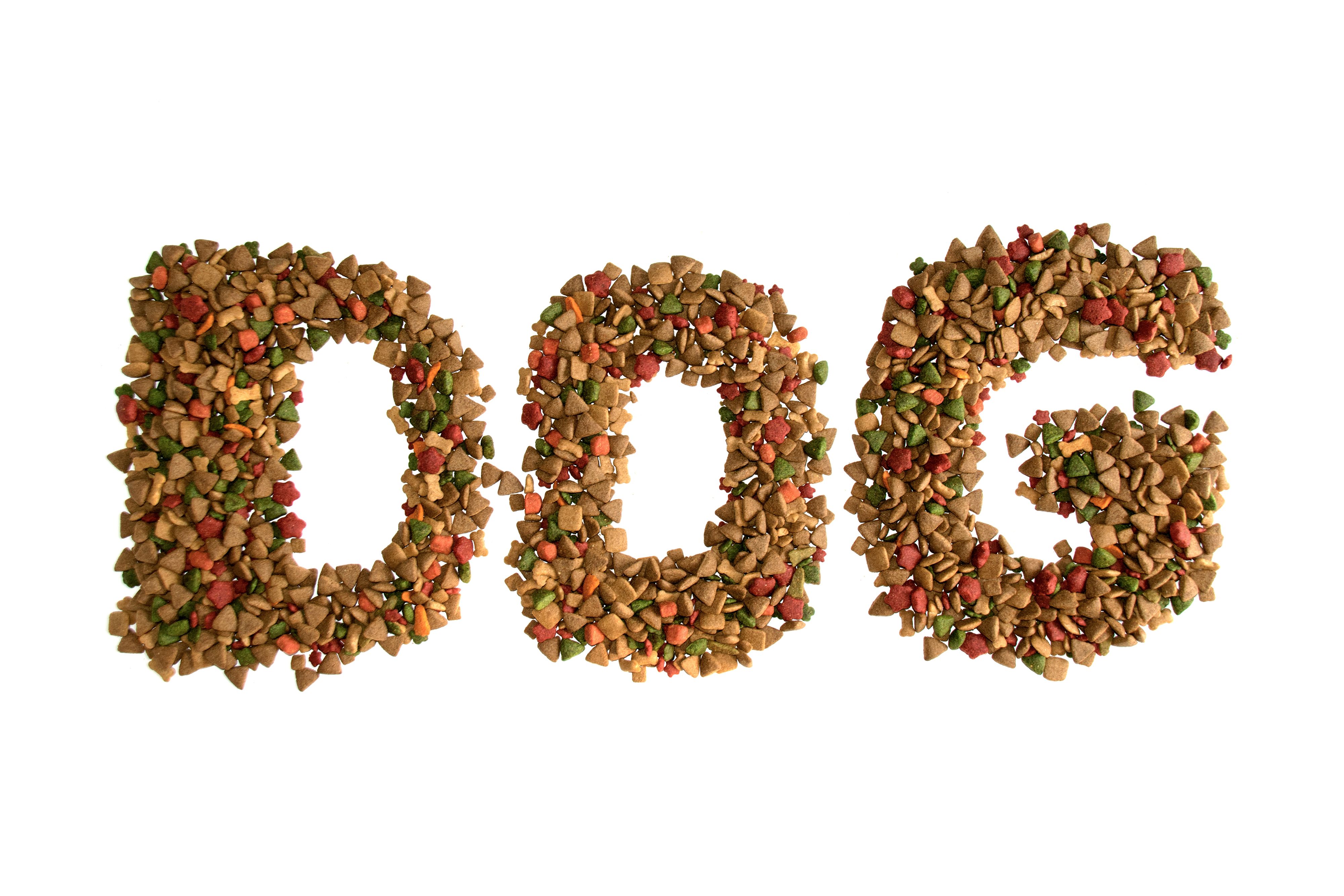 dog food types