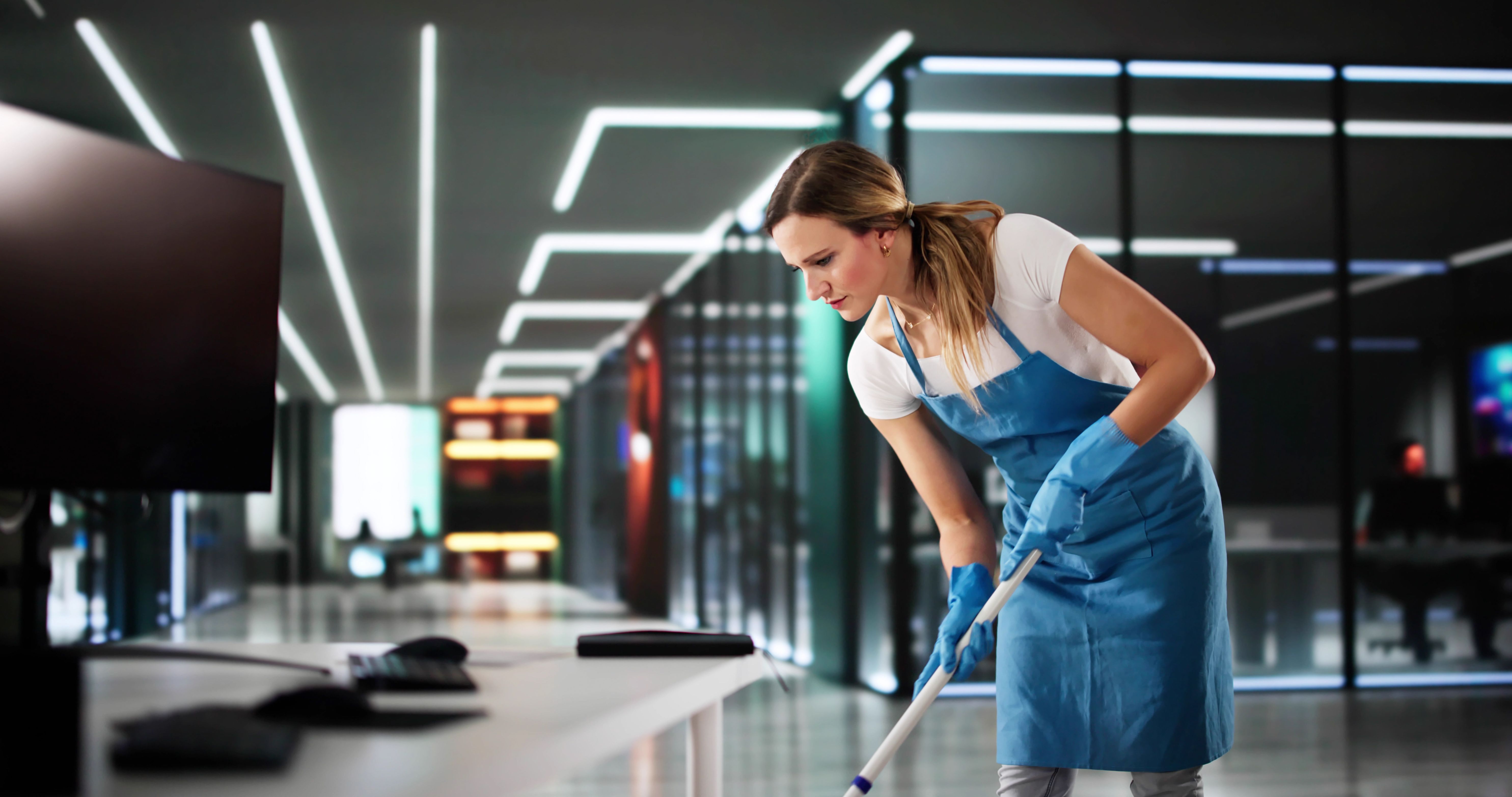 professional cleaners