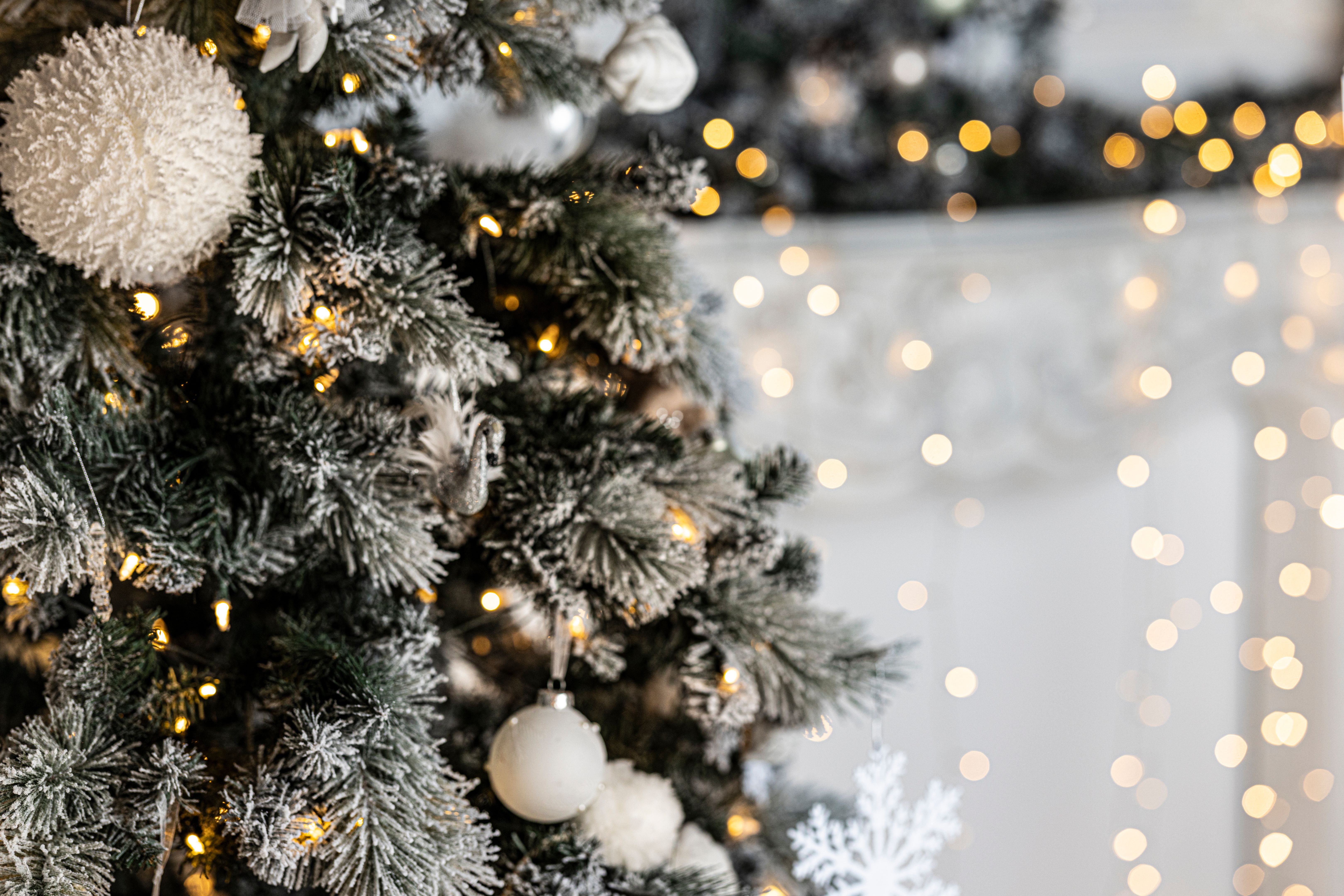 winter festive decor