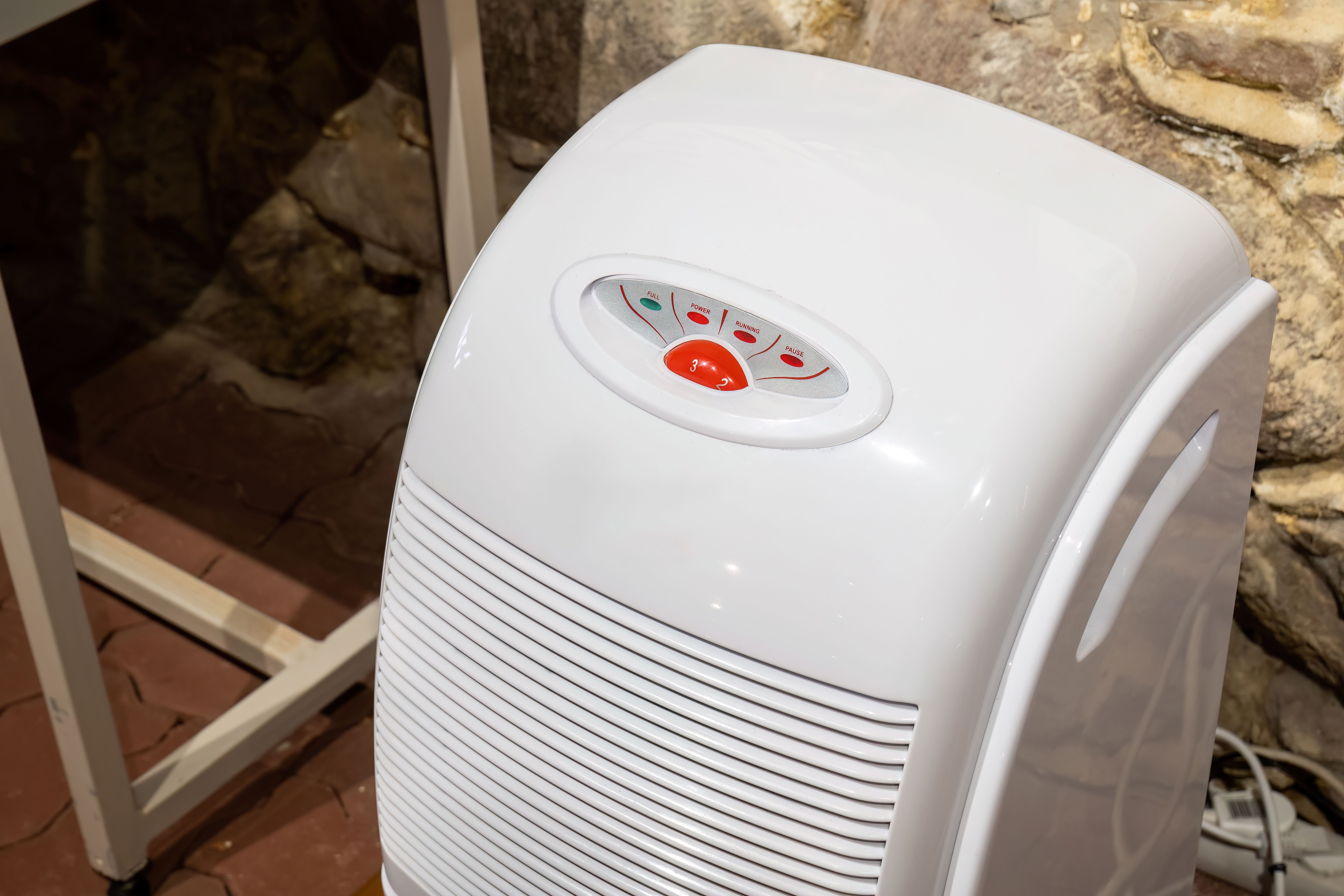 dehumidifier basement