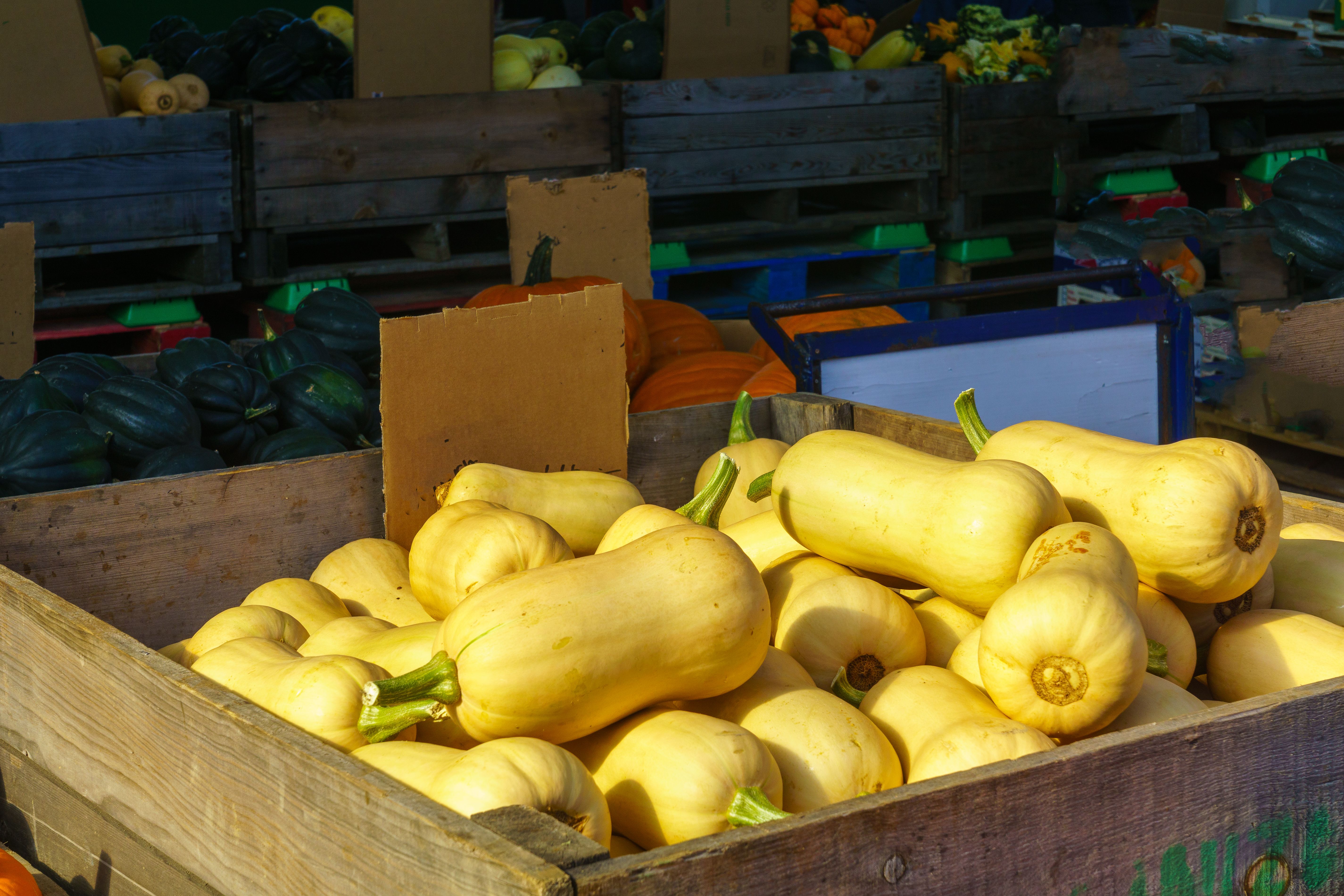 jean-talon market