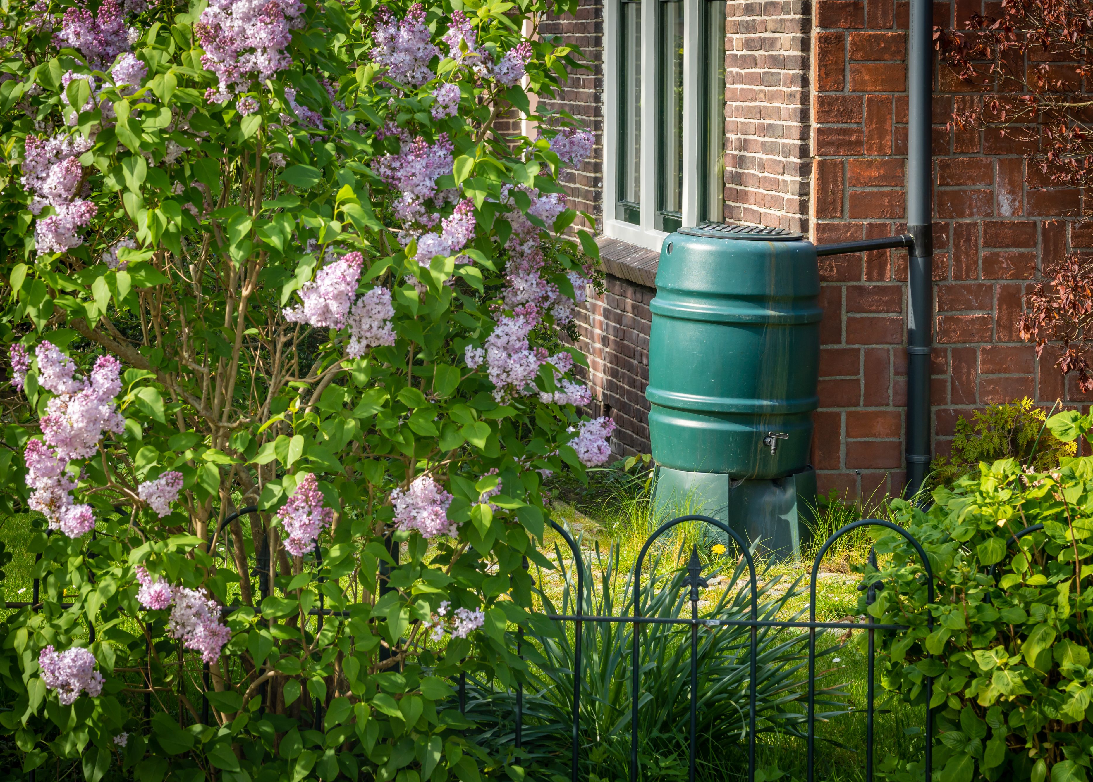 rain barrel
