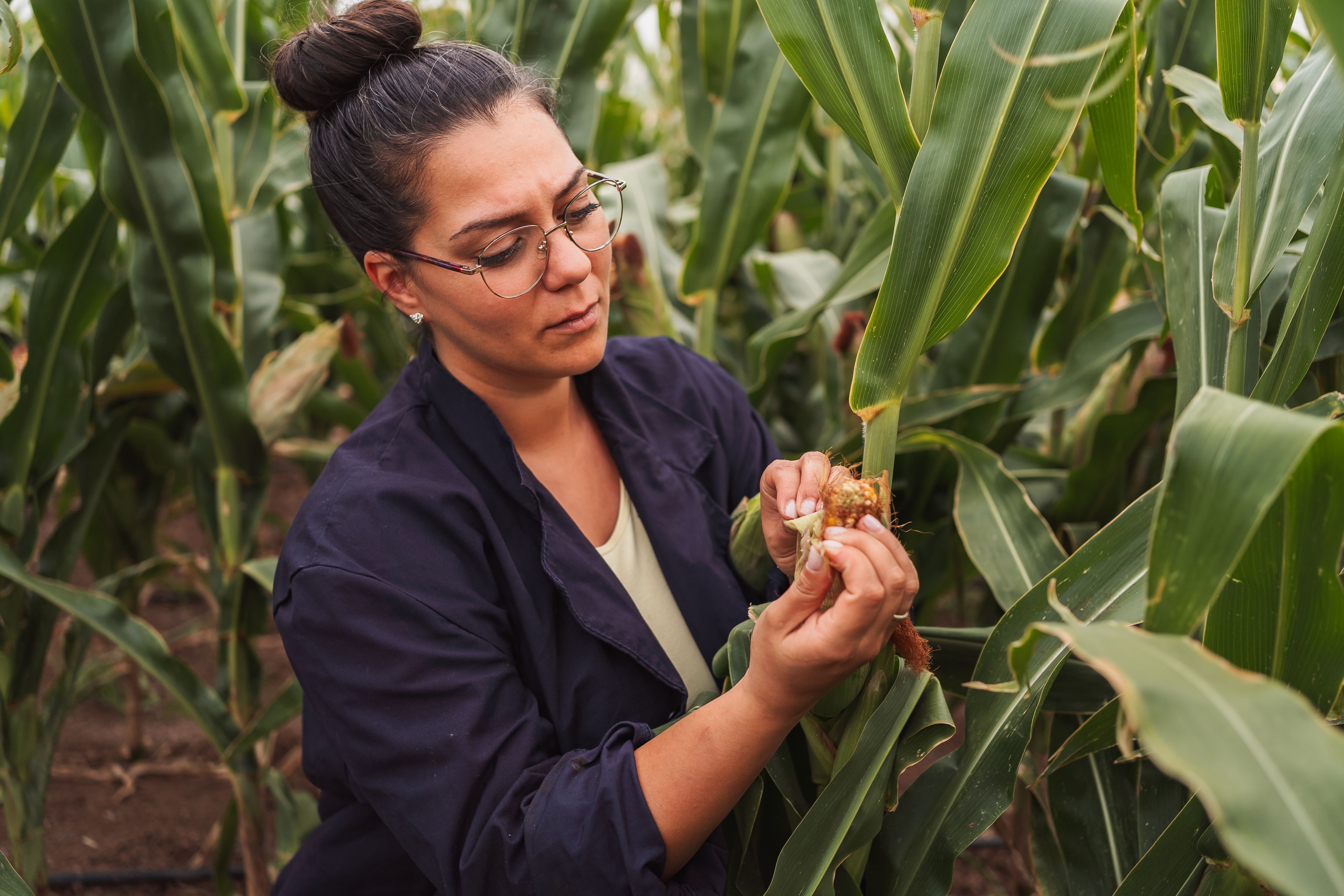 agricultural technology