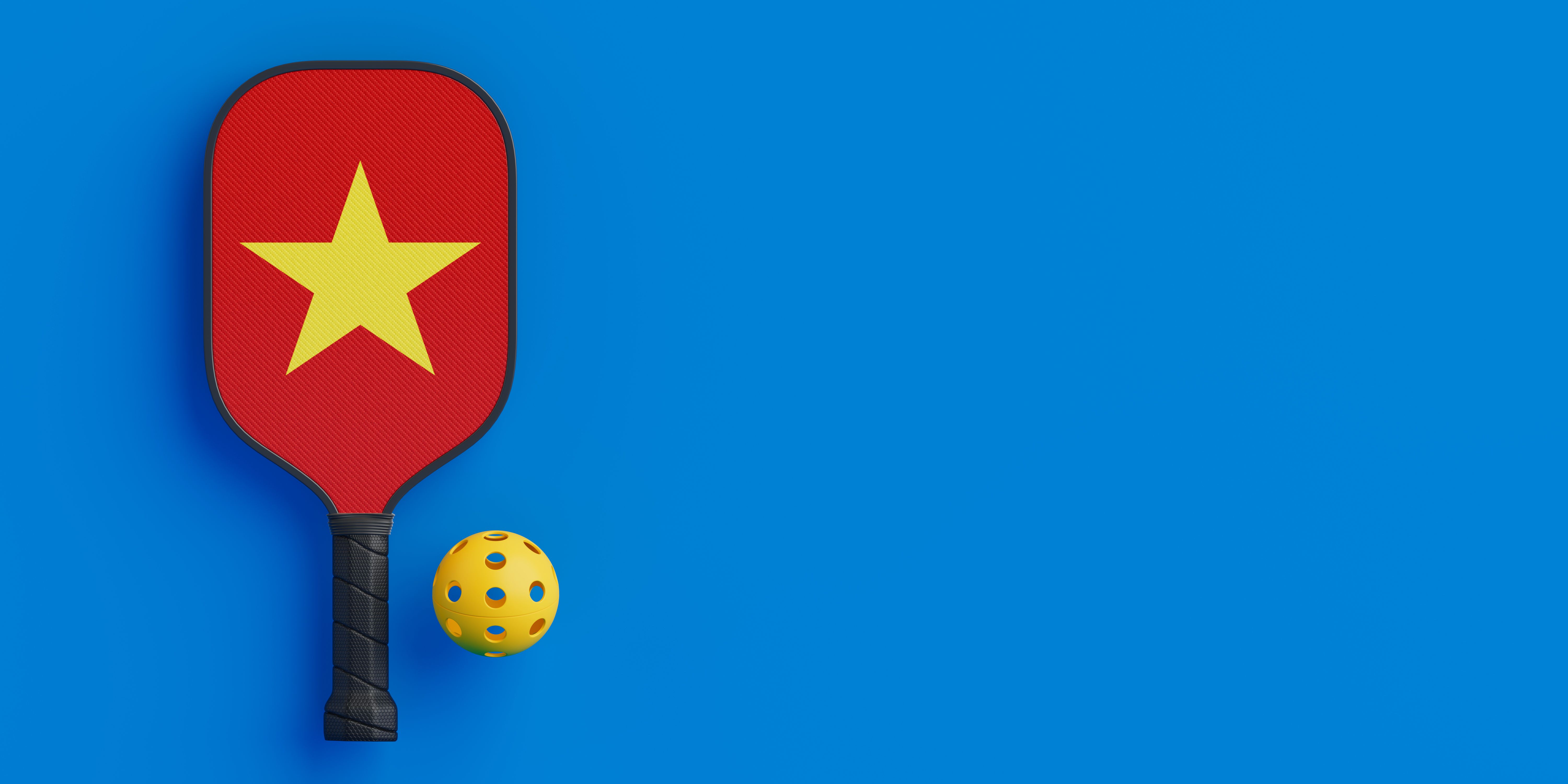 pickleball court Vietnam