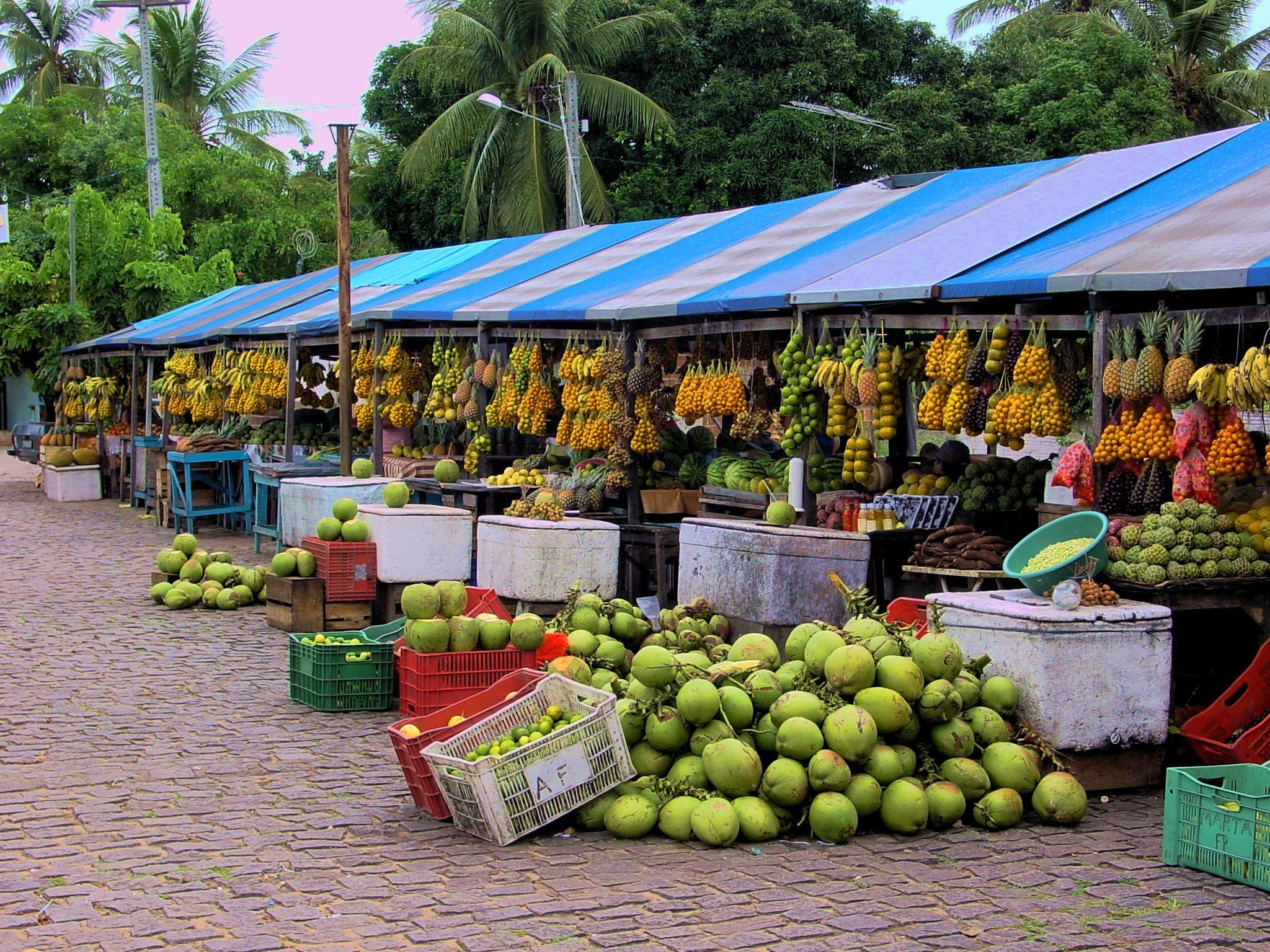 feira da madrugada
