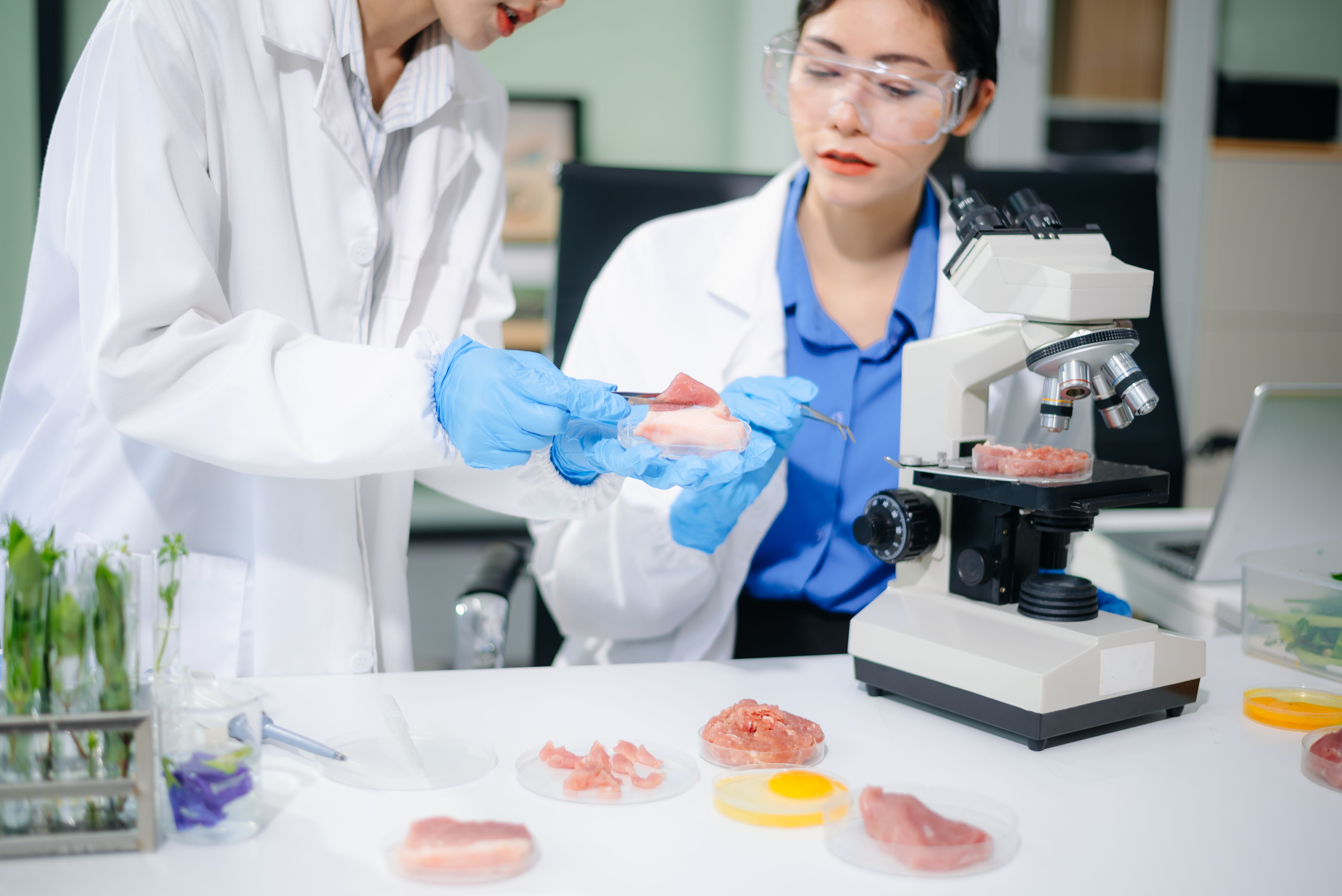 food safety inspection