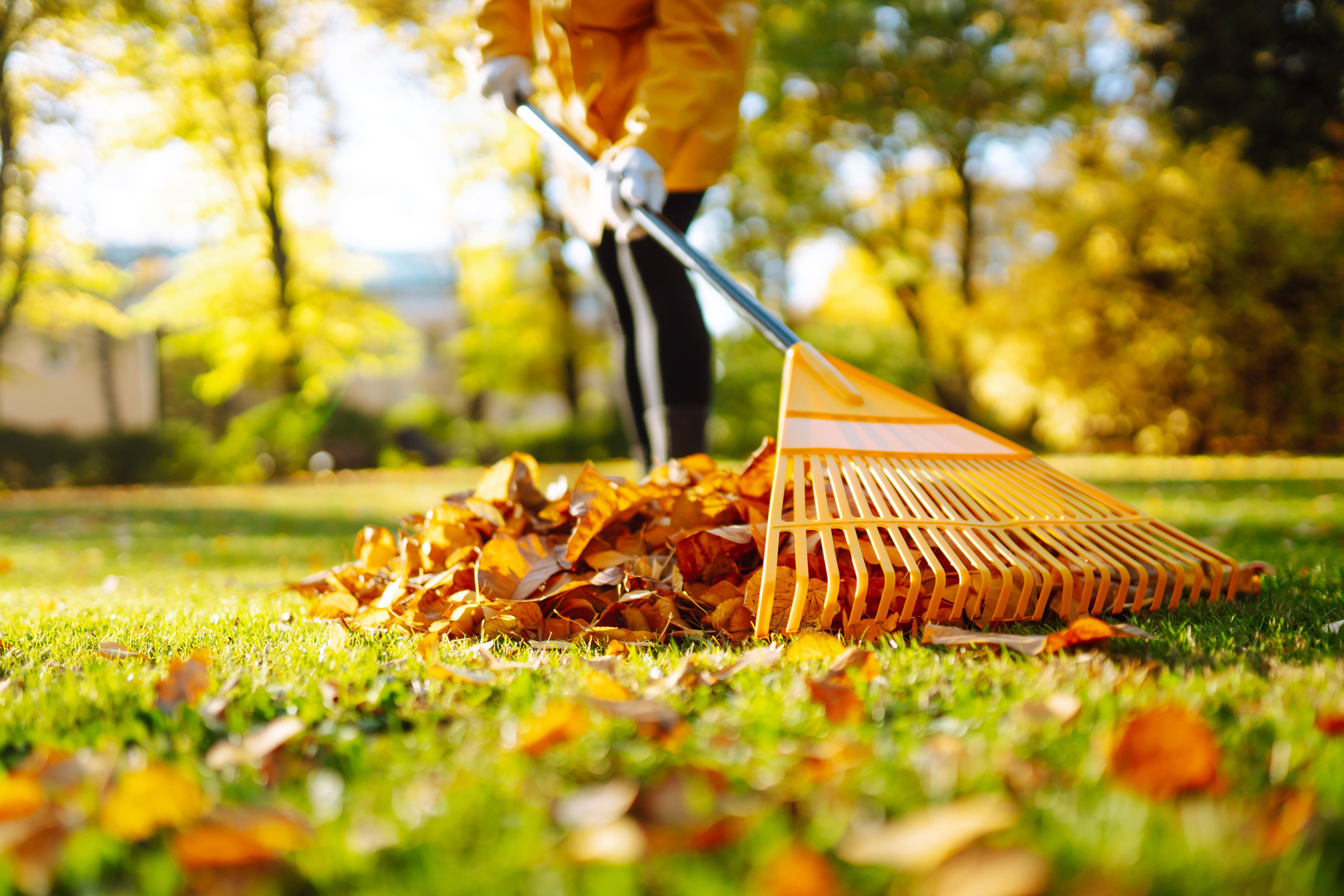 autumn home cleaning