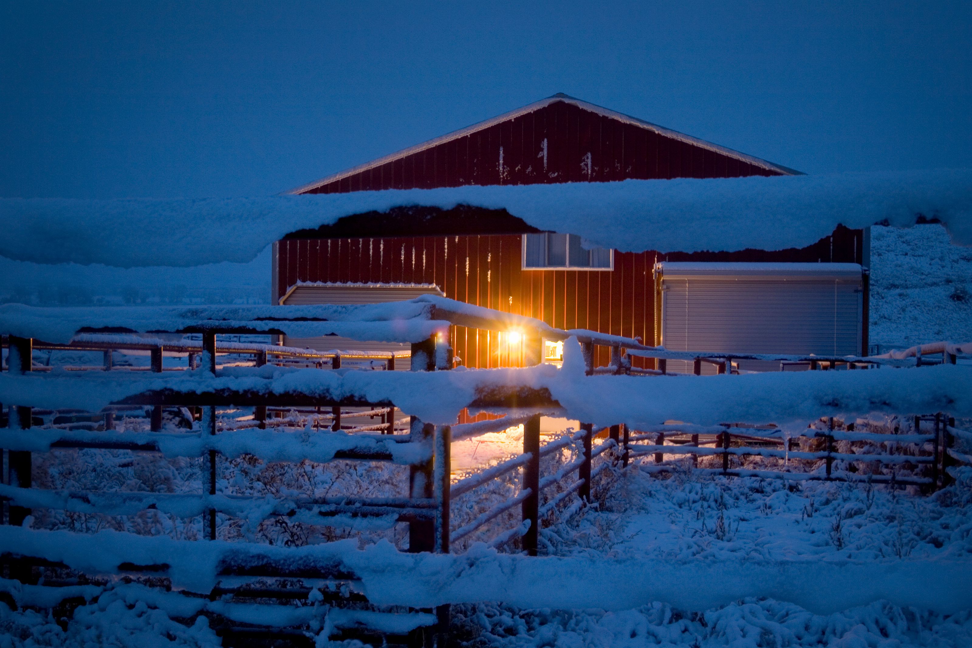 stable winter management