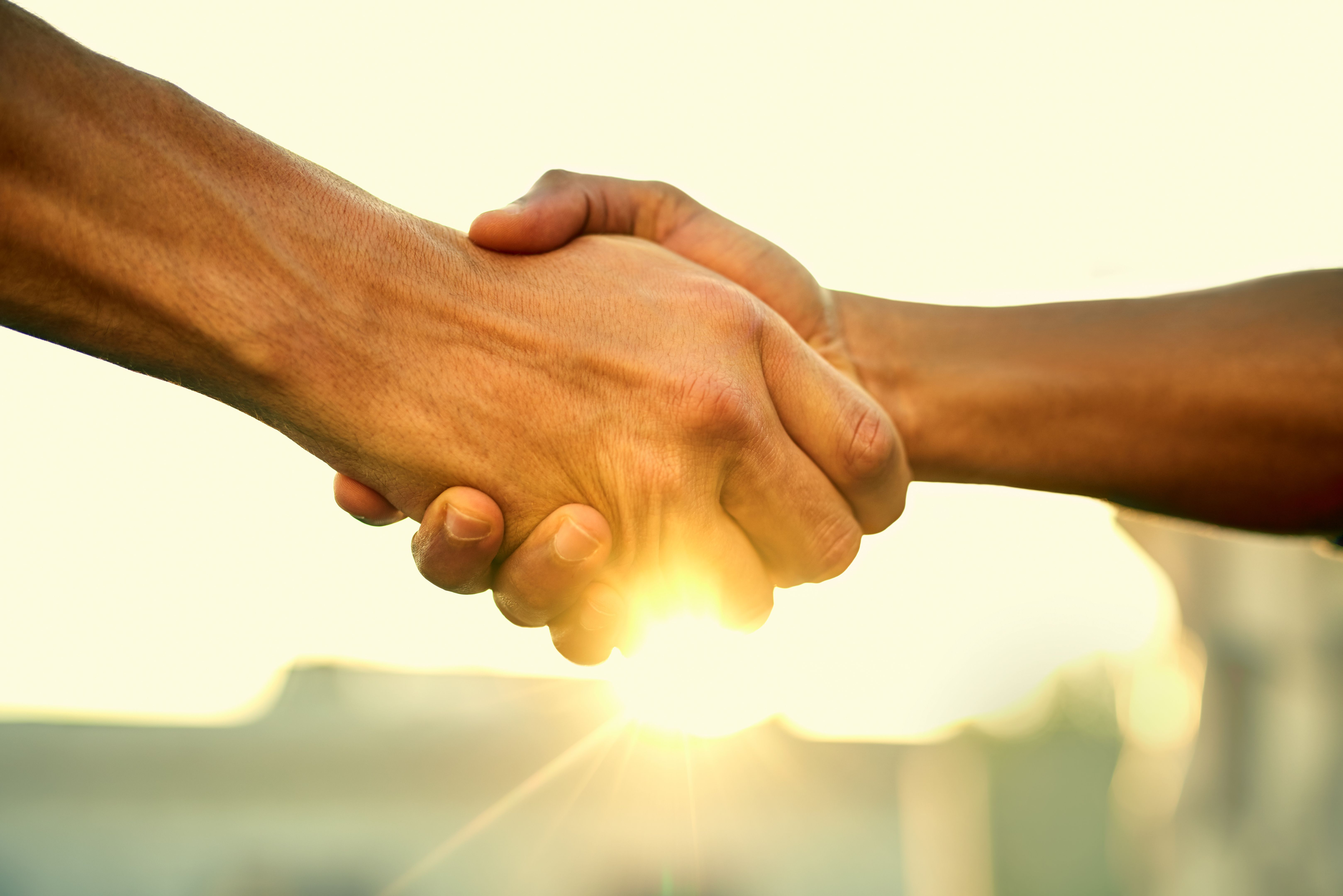 trust handshake