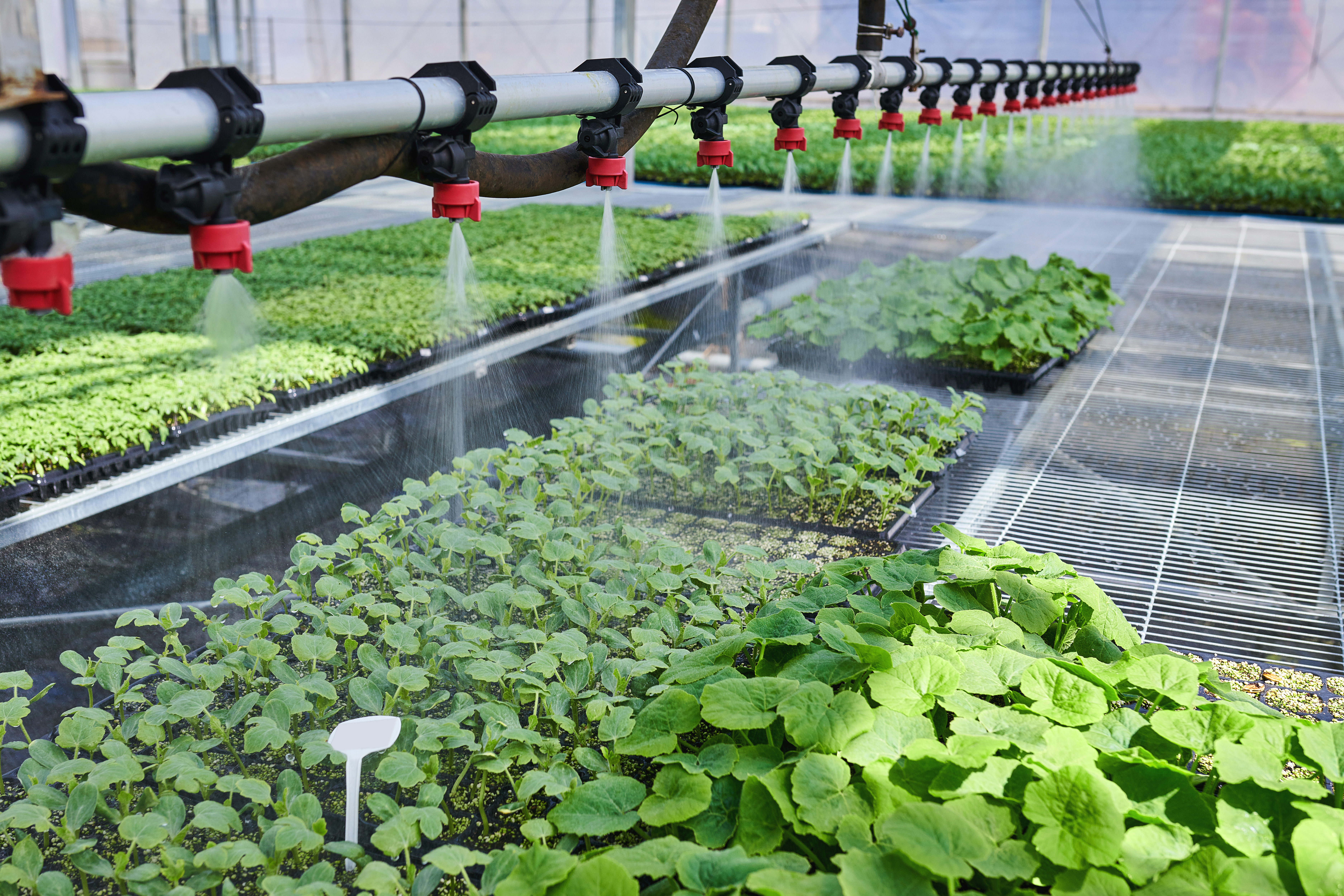 Close-up of Irrigation System at Sprinkling Water