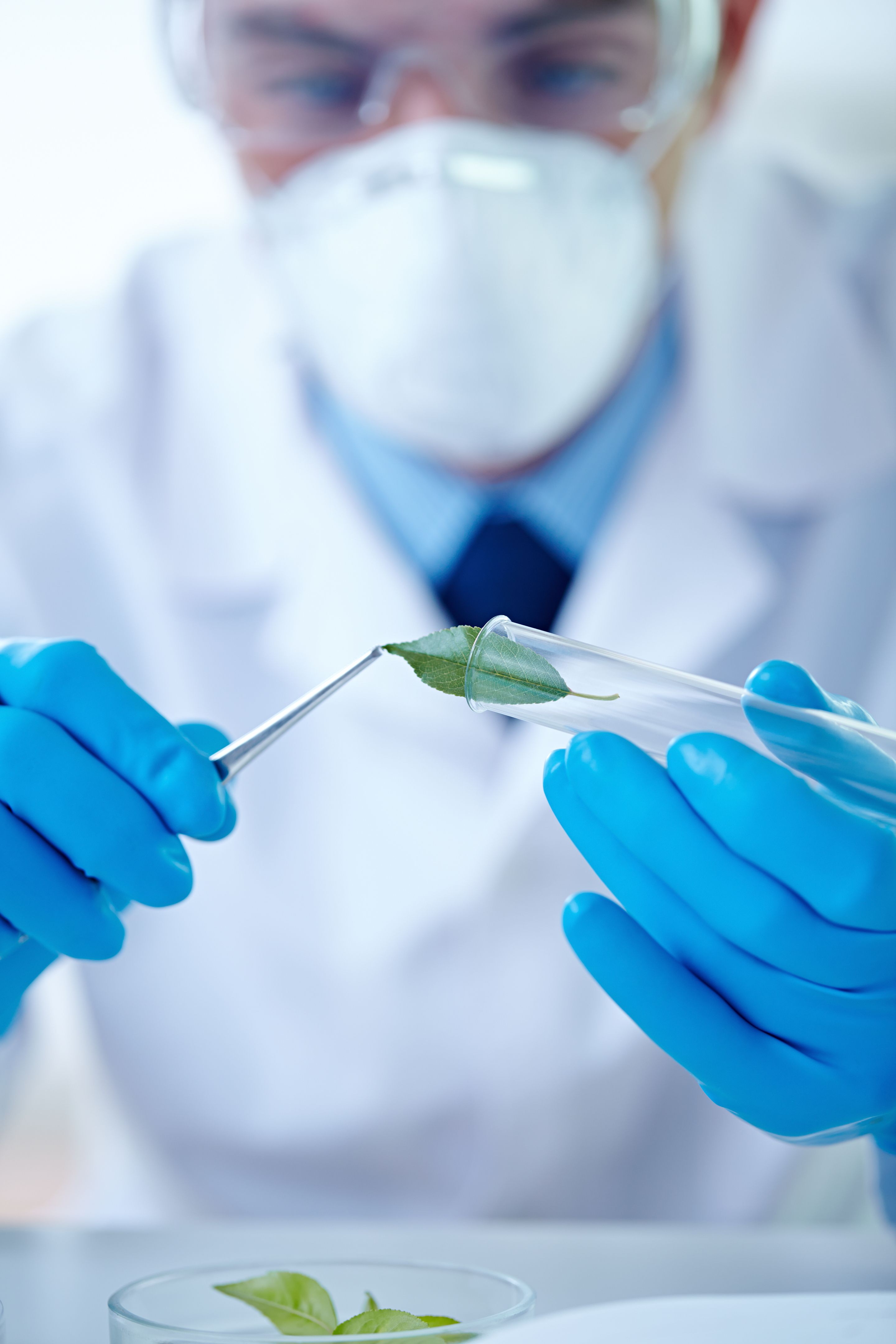 biologic development