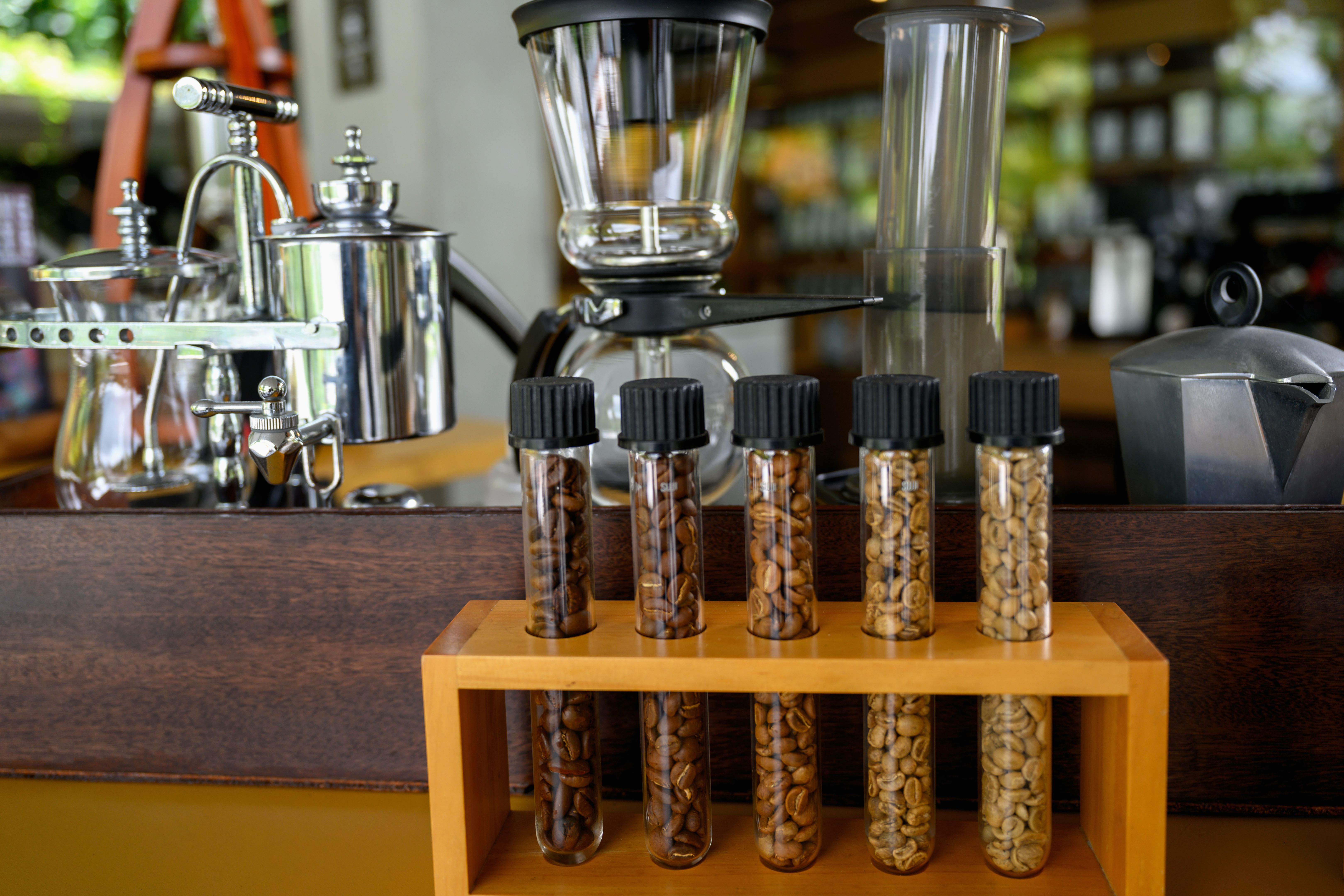 coffee tasting setup